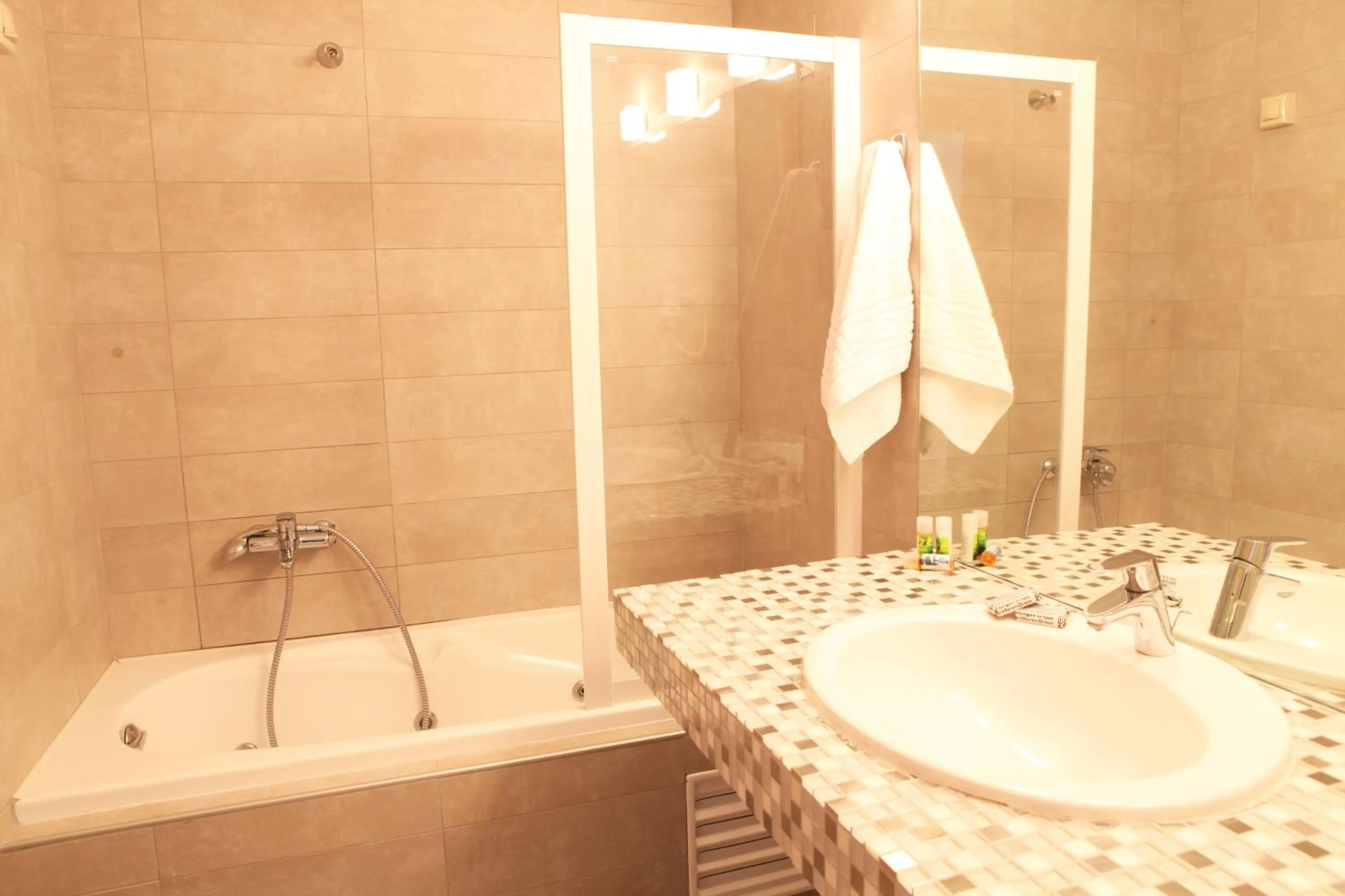 Bathroom in Hotel Alfa