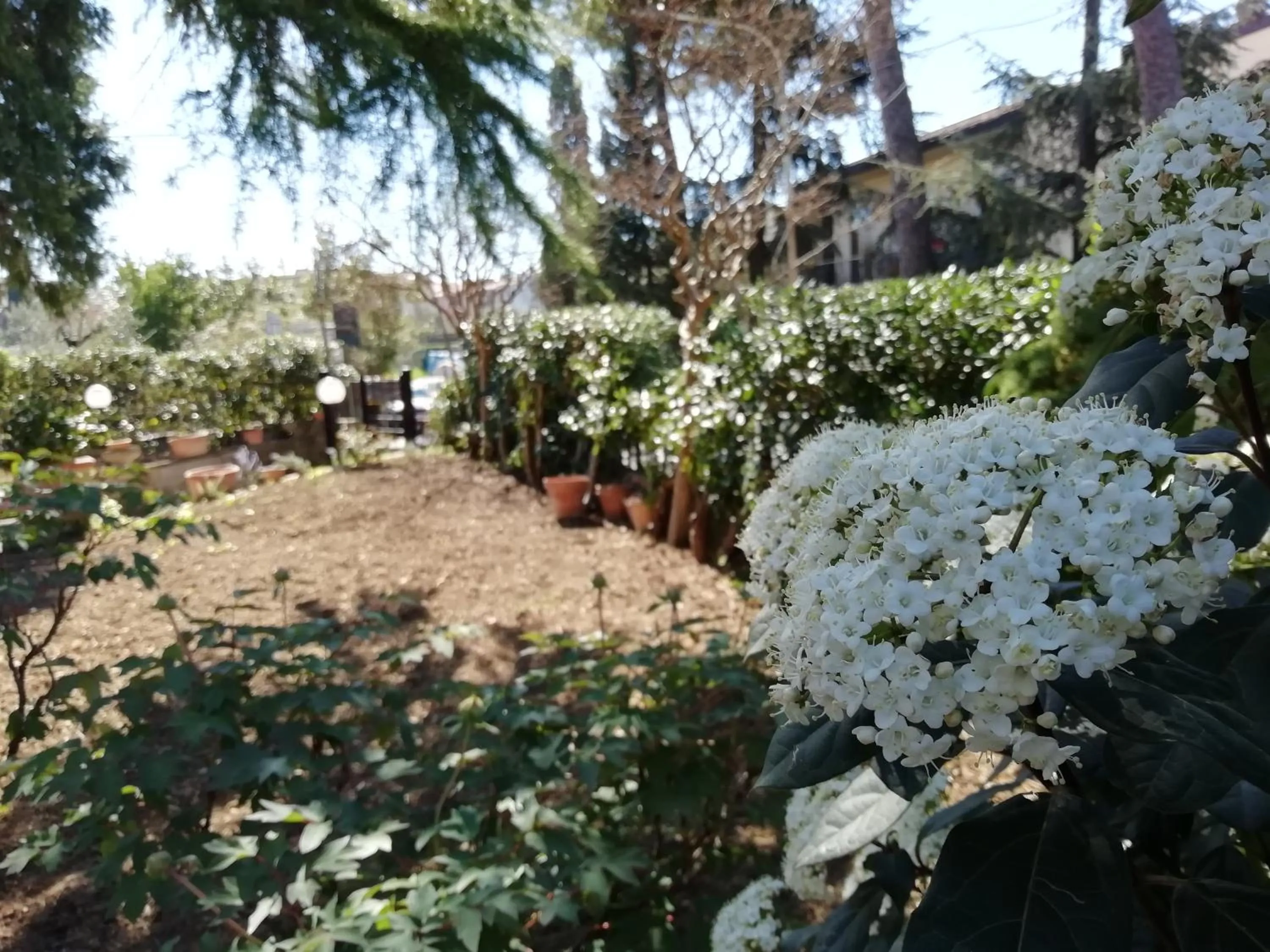 Spring in B&B Querceto