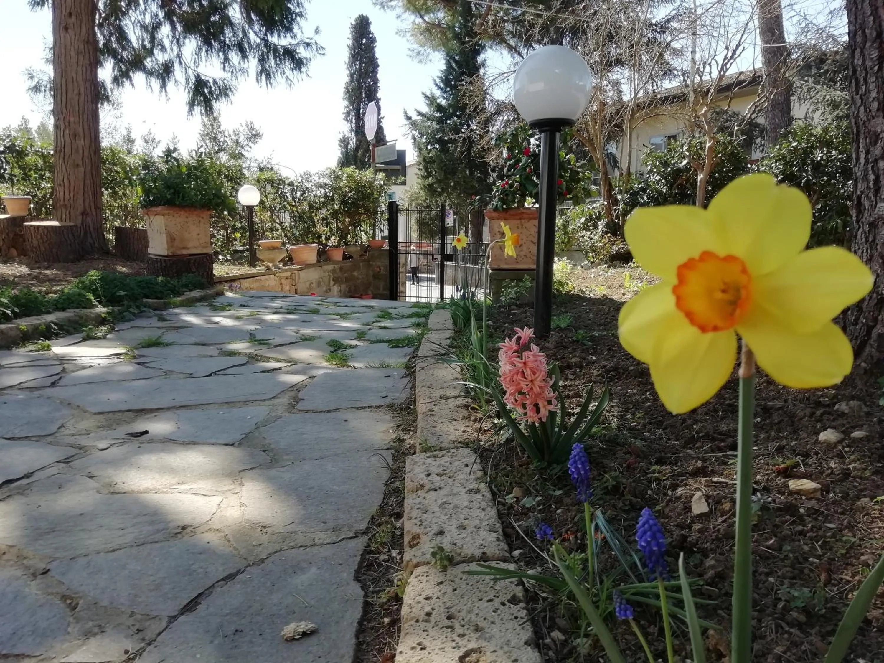 Spring in B&B Querceto