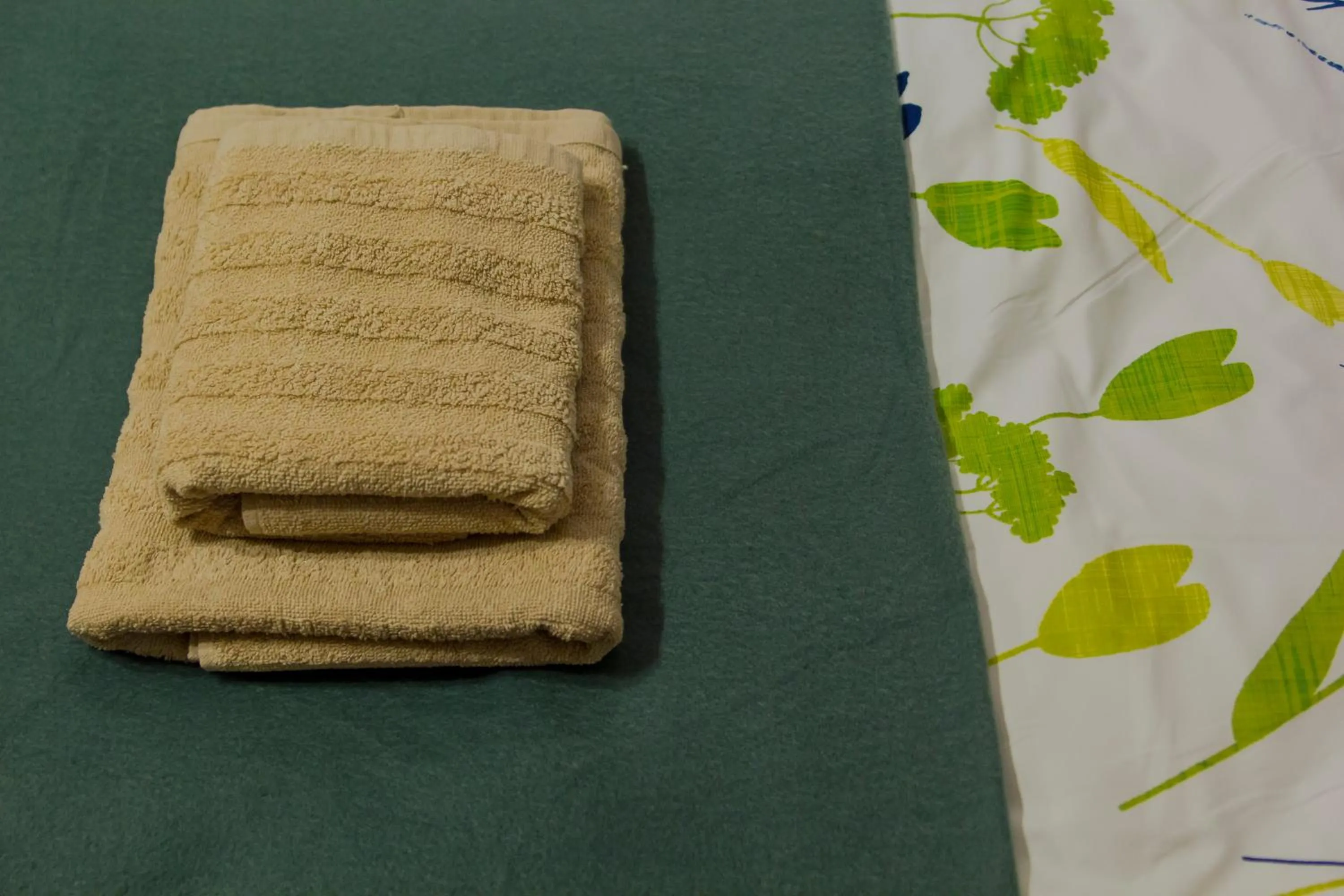 Bed in Bacówka na Zadzielu