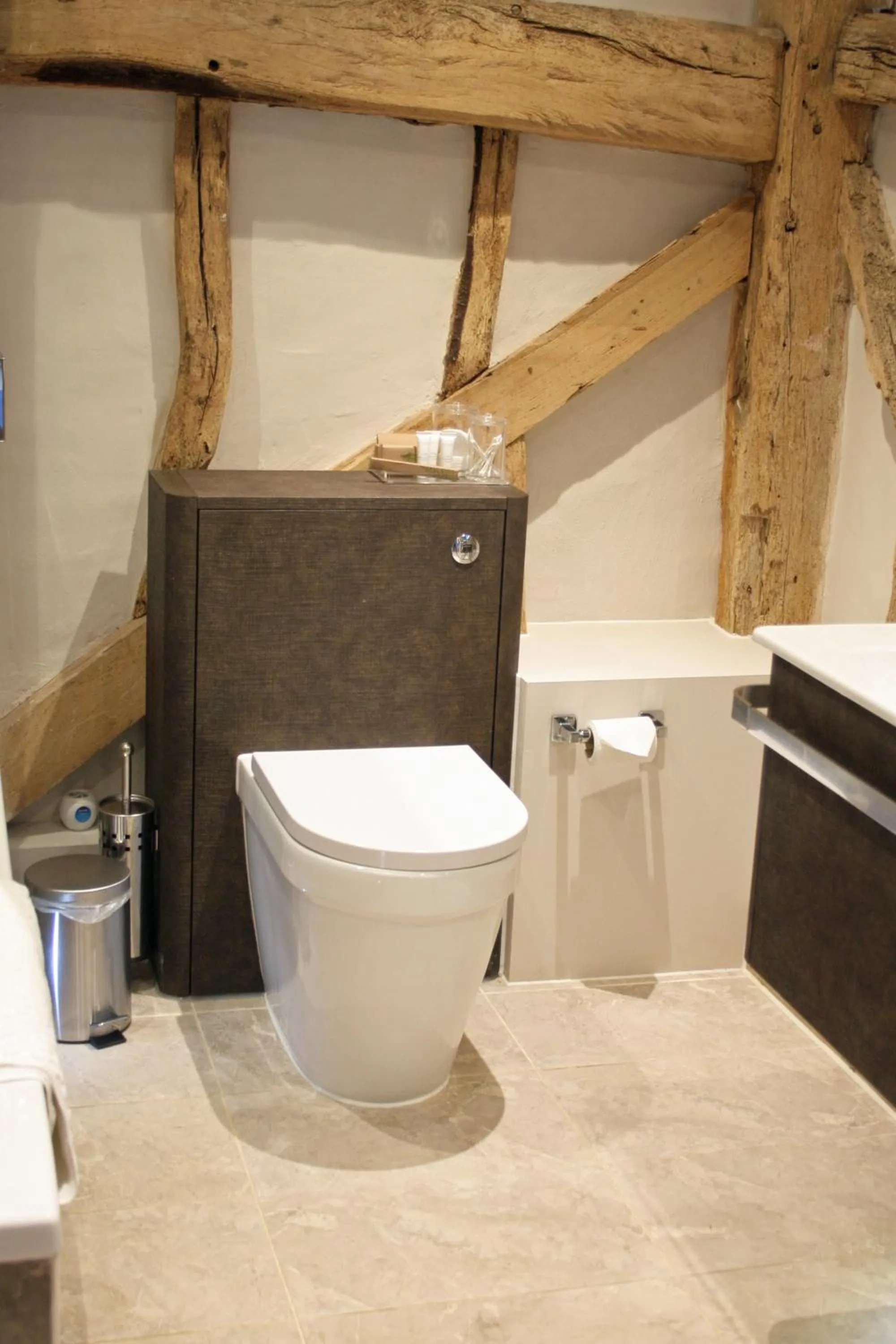 Toilet in The Red Cow