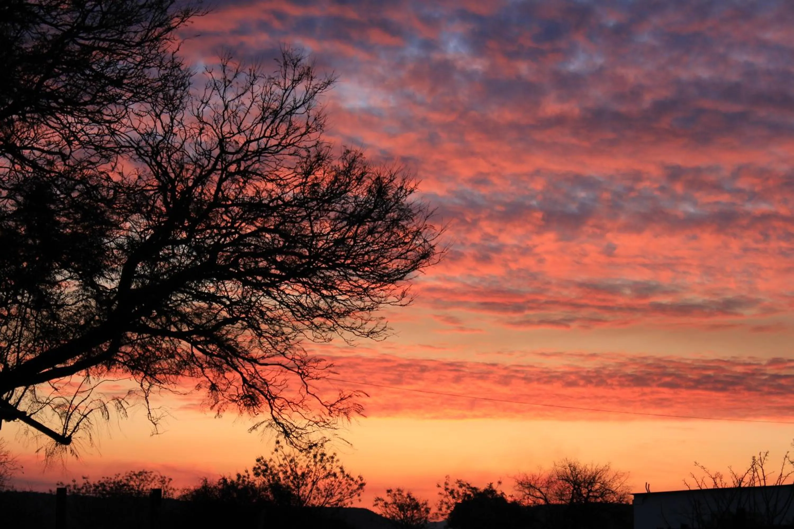 View (from property/room) in Nauntons Guest House & Wedding Venue