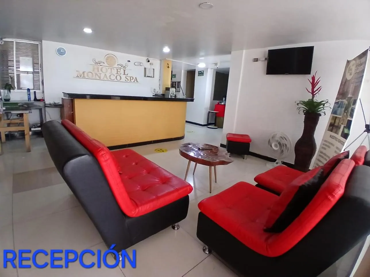 Hotel Mónaco de Fusa