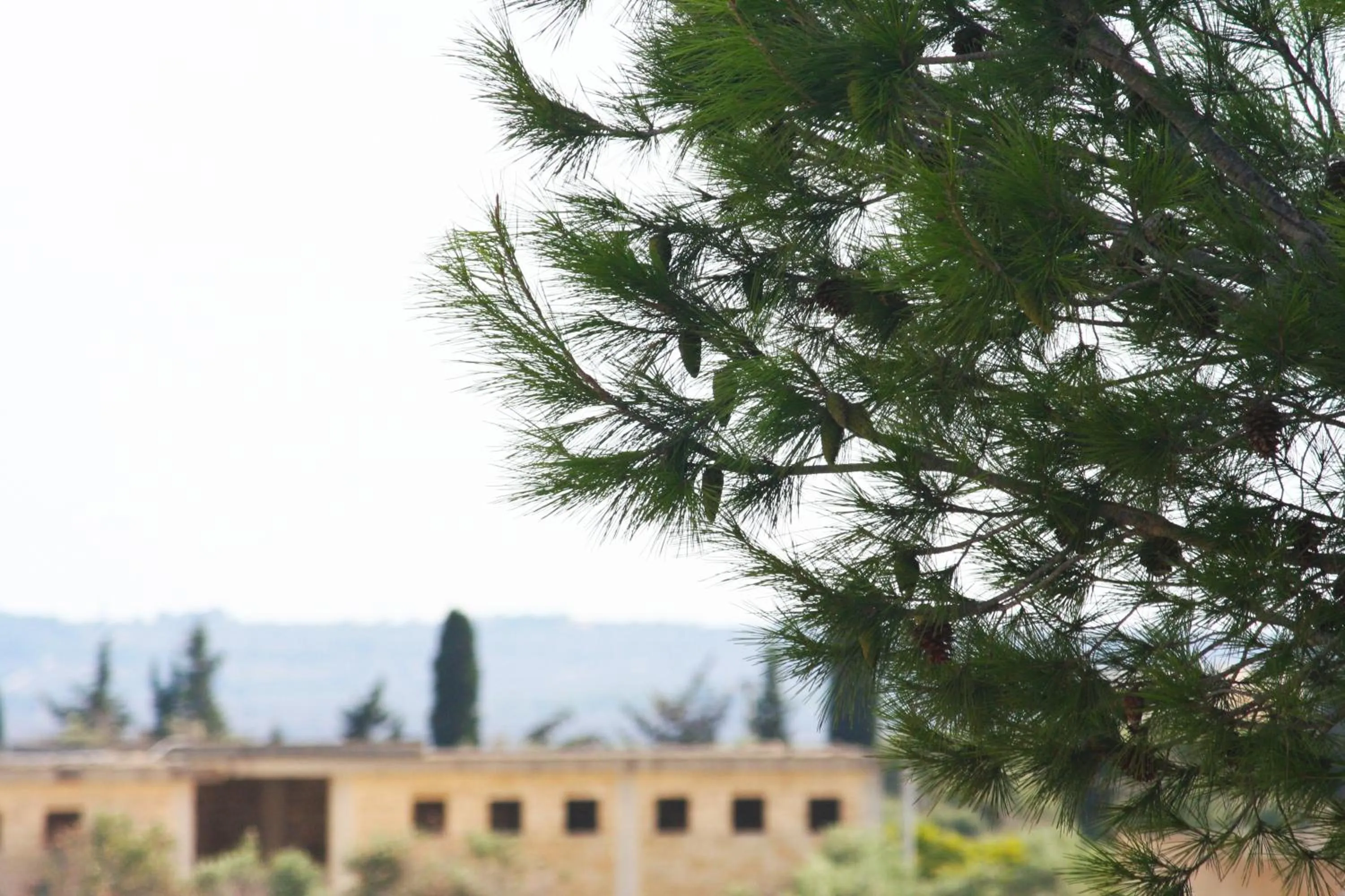 City view in B&B Via Gallipoli