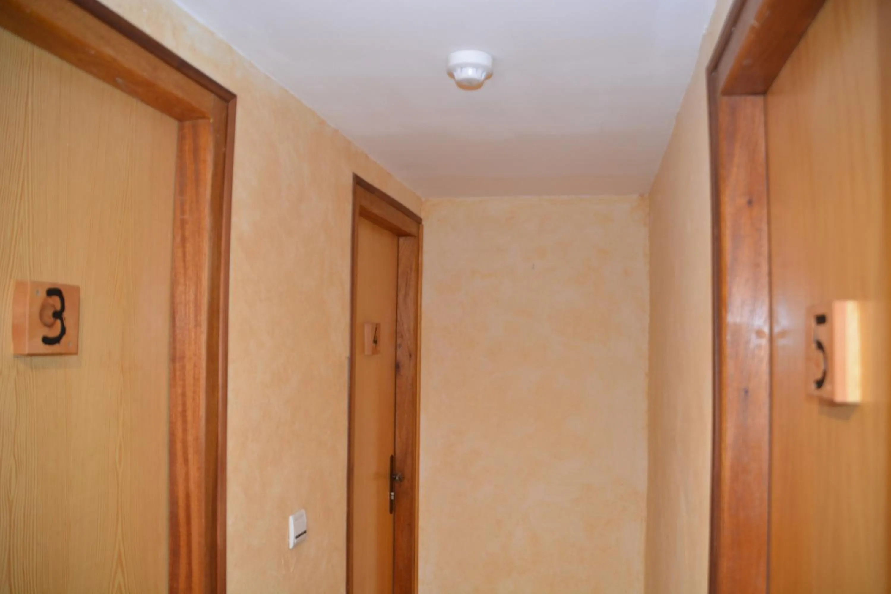 Decorative detail in Hôtel Alpis Cottia