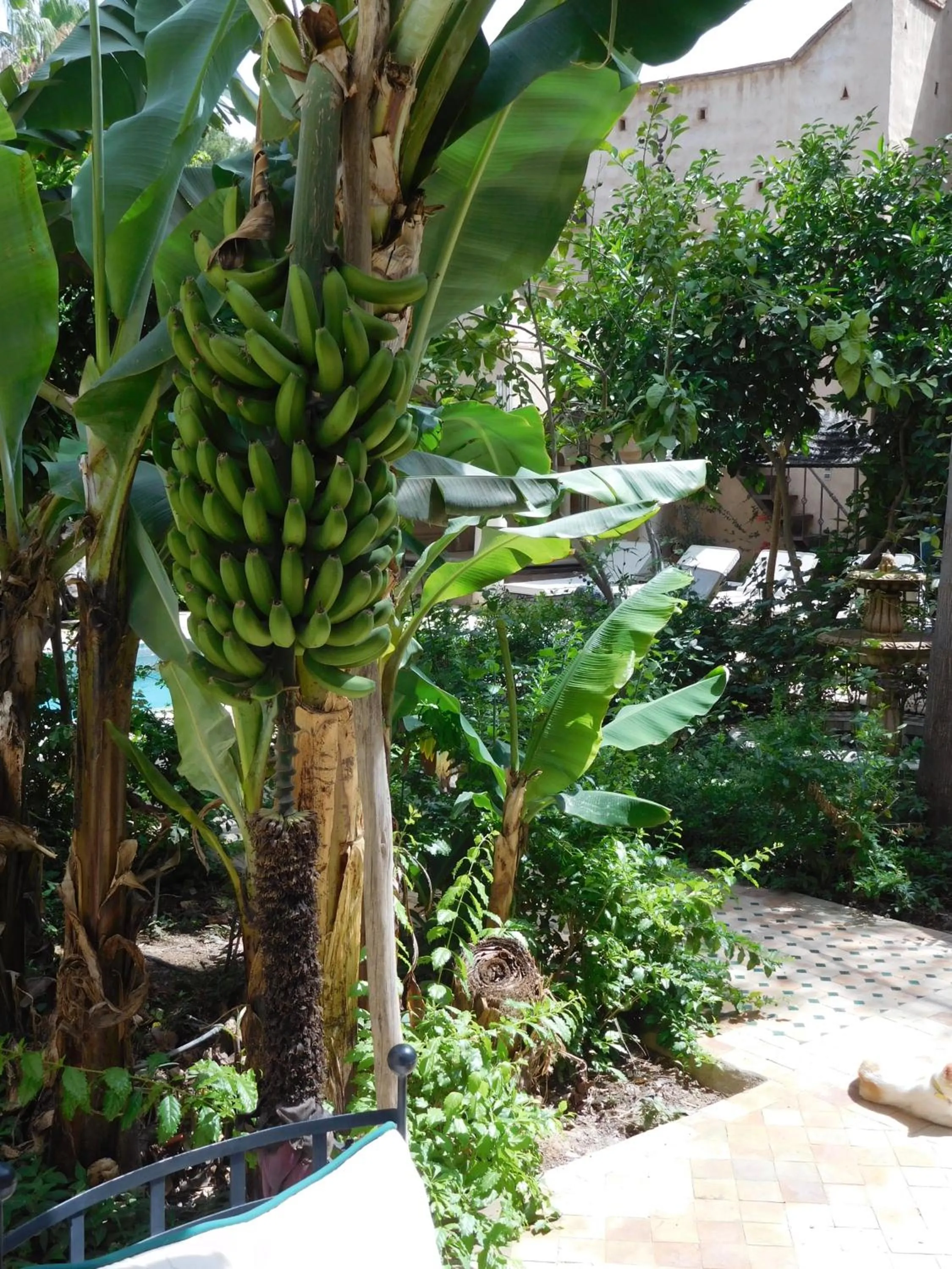 Garden in Palais Oumensour