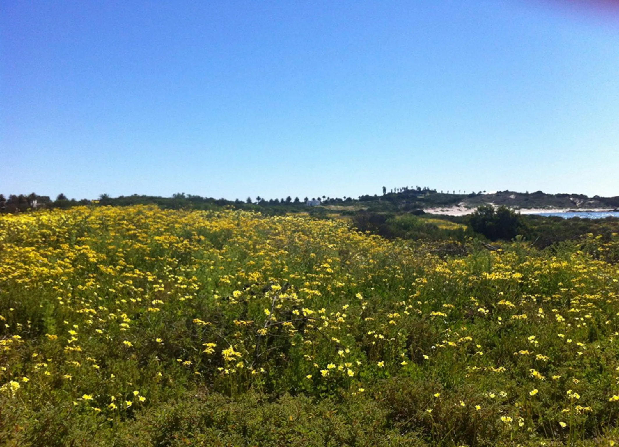 Area and facilities in Goblin's Creek