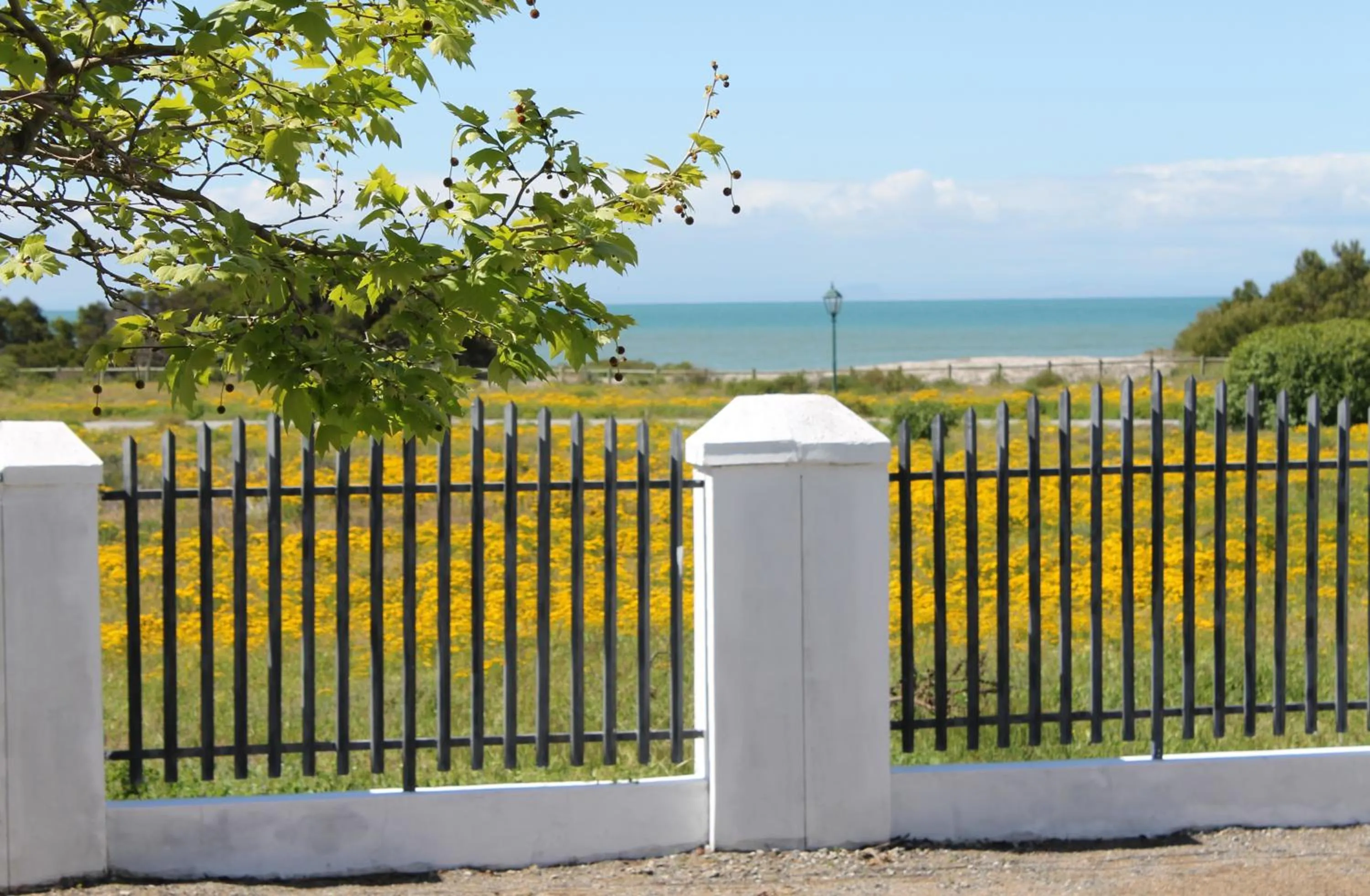 View (from property/room) in Goblin's Creek