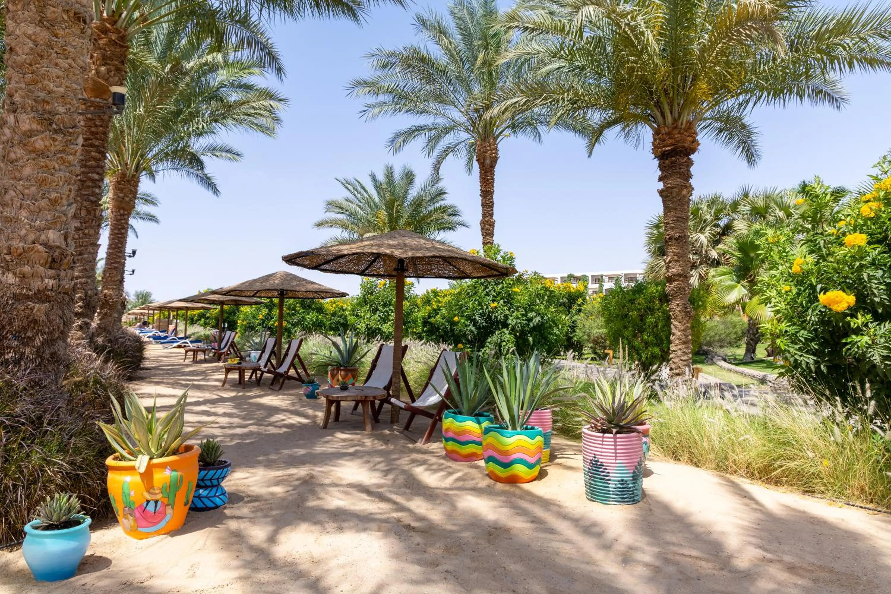 sunbed in Fort Arabesque Resort, Spa & Villas