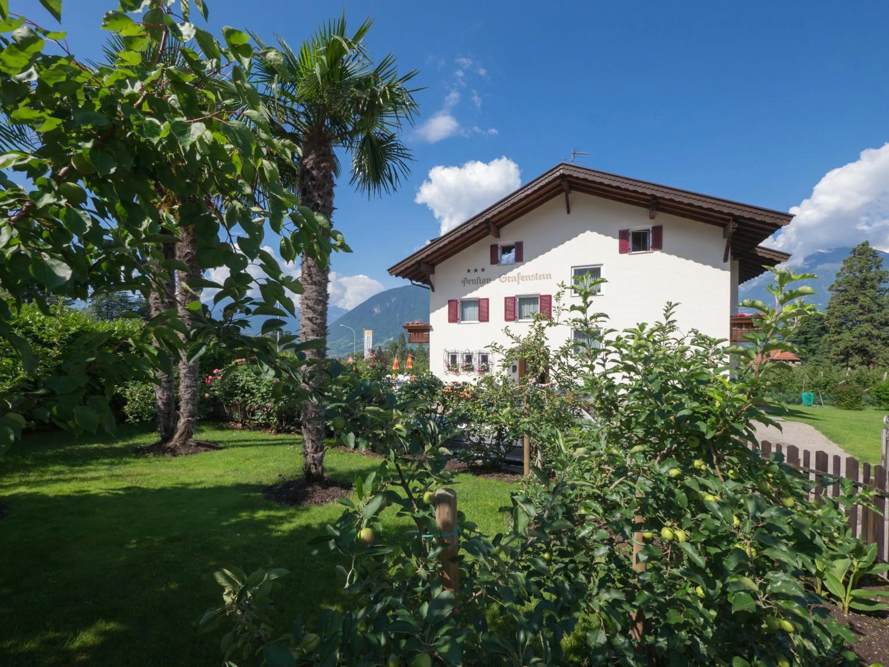 Facade/entrance in Guesthouse Pension Grafenstein