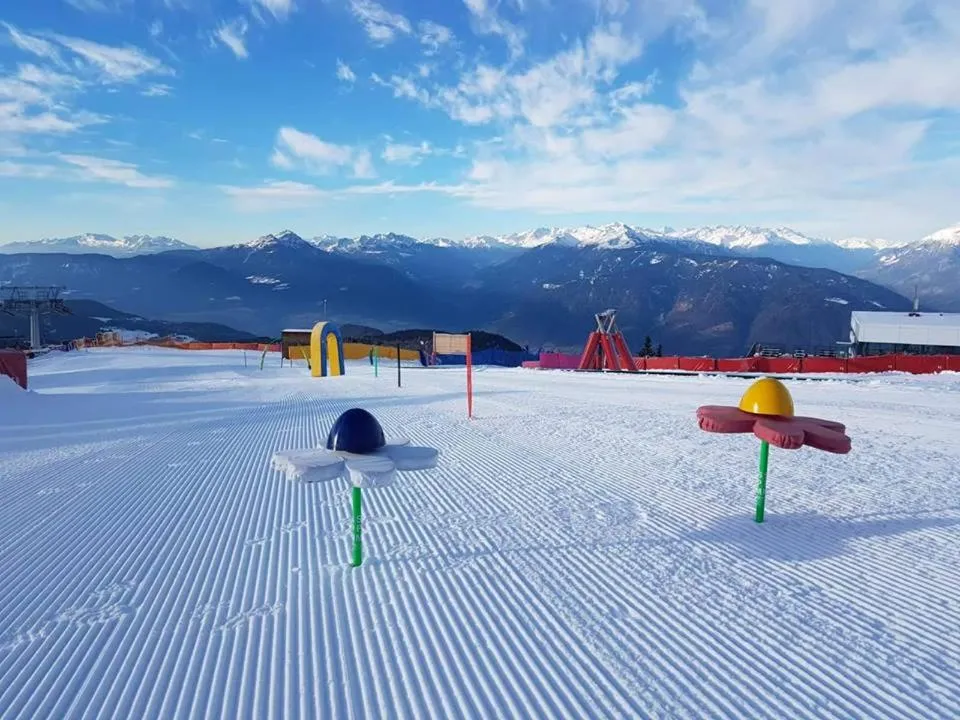 Ski School in Guesthouse Pension Grafenstein