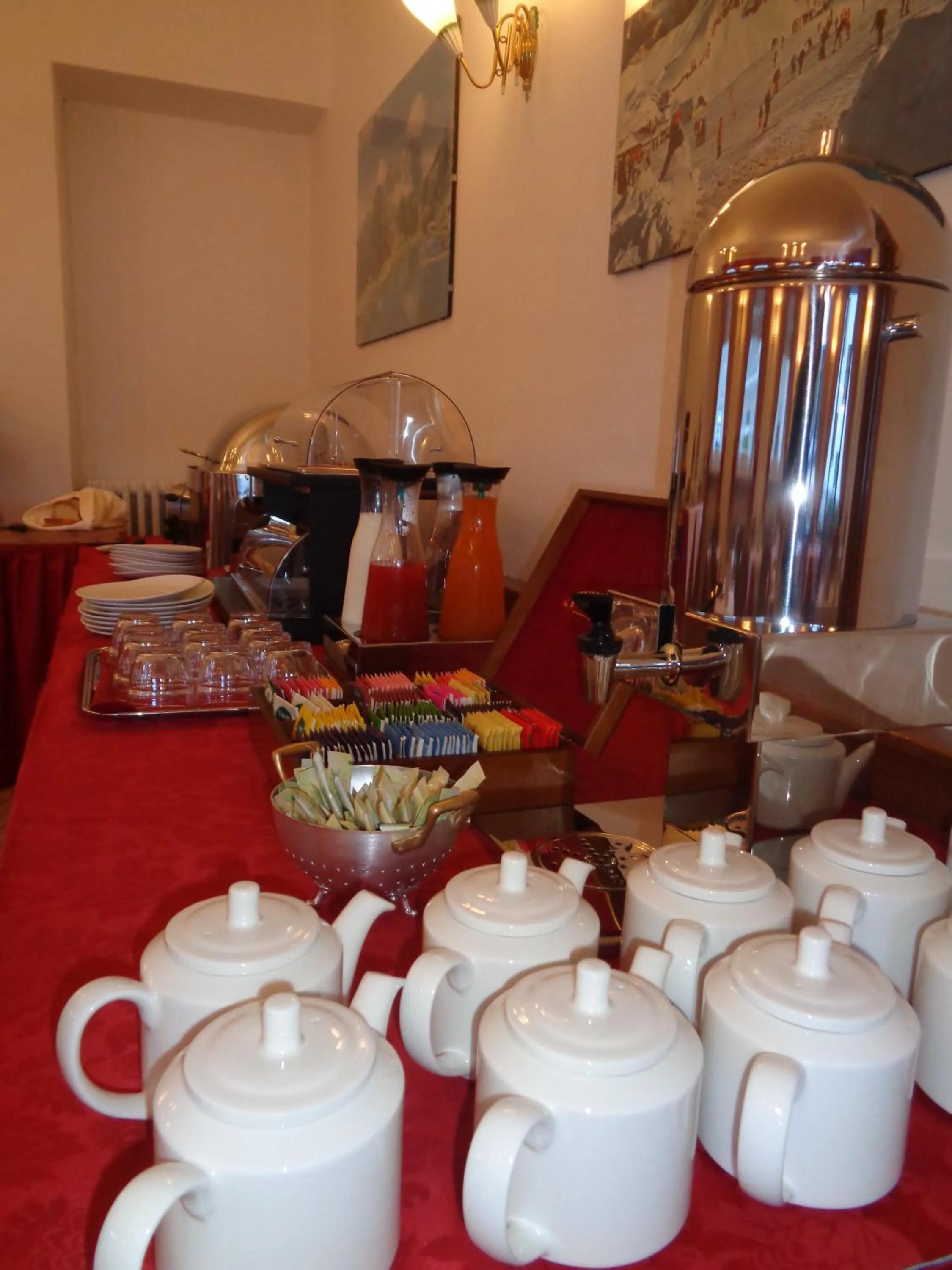 Area and facilities in Hotel Garni Suisse