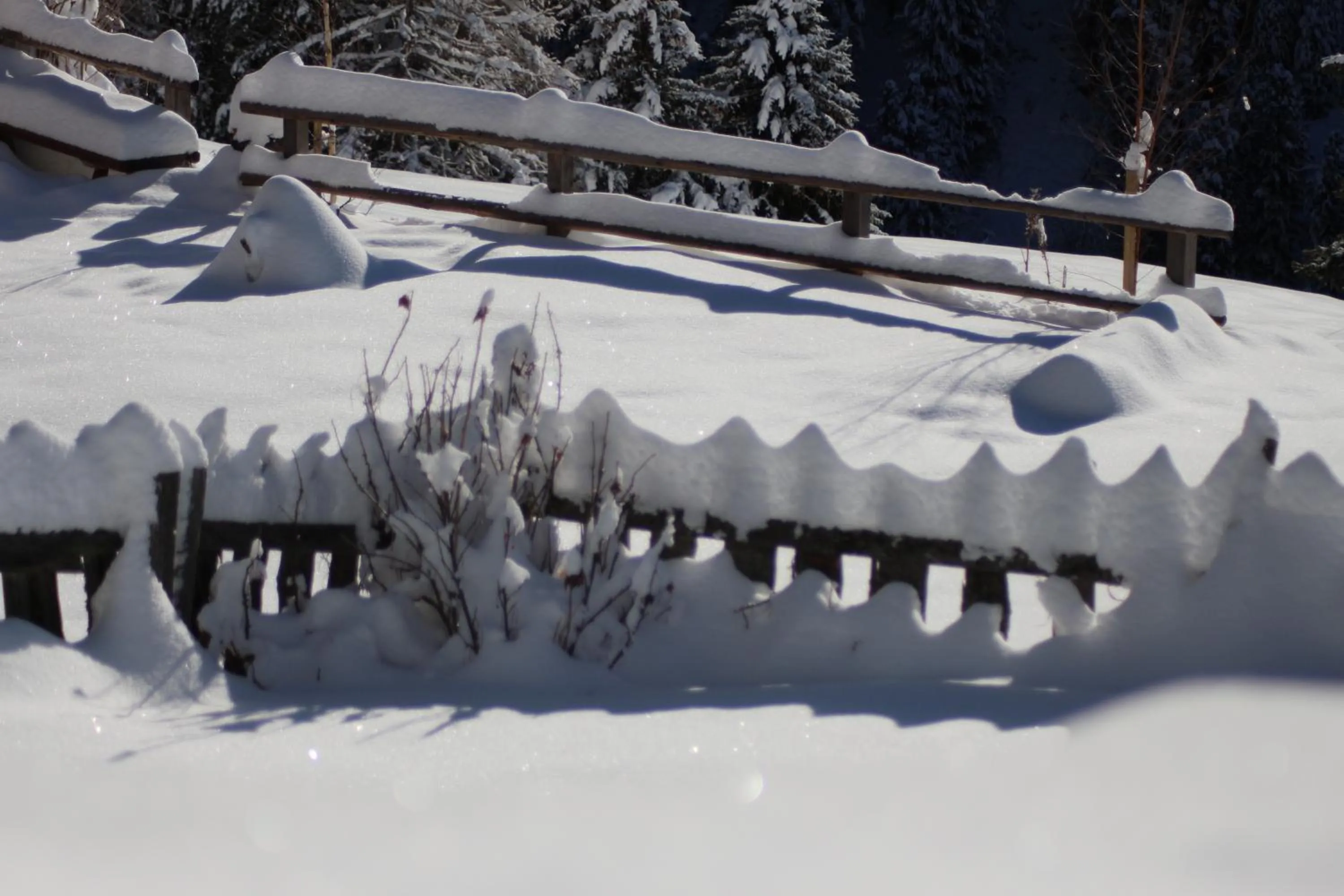 Winter in Residence Alpenrose