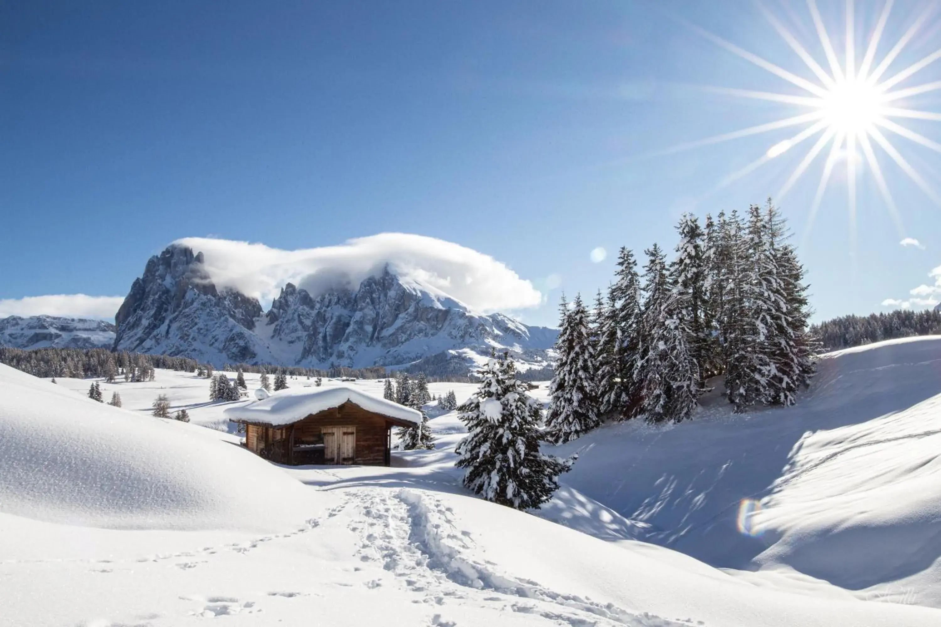 Residence Alpenrose Residence Alpenrose