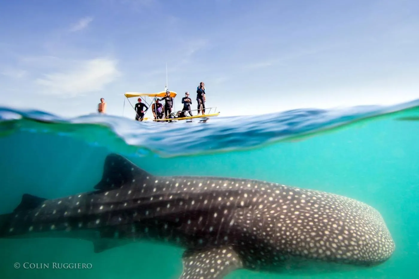 Activities in Los Colibris Casitas