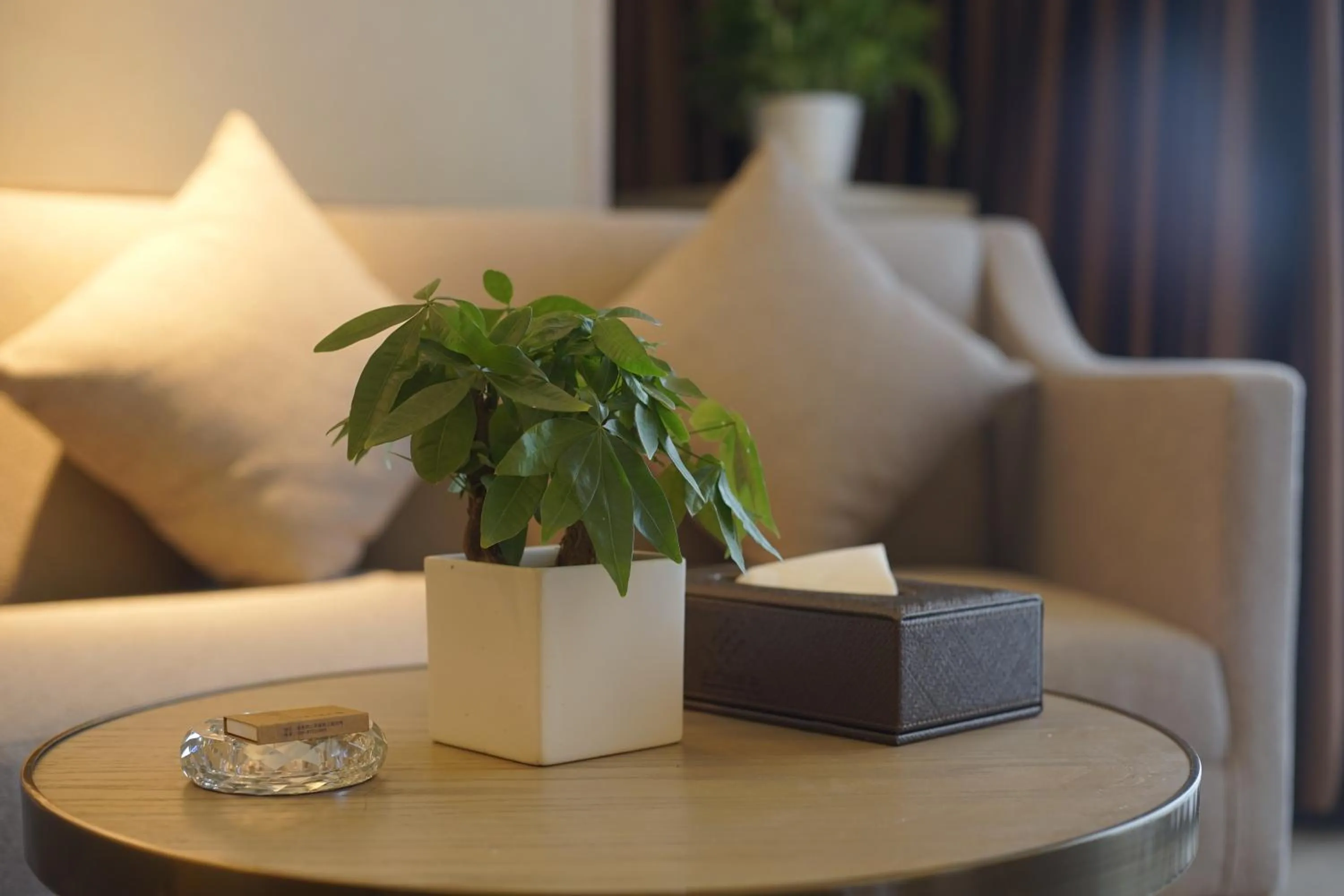 Seating area in Chengdu Jiuzhaigou Hotel