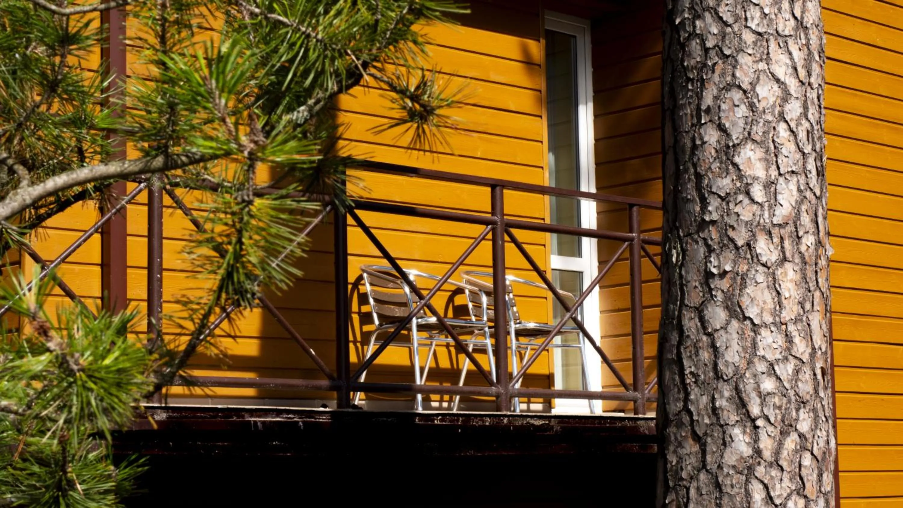 Property building in Hotel Vita