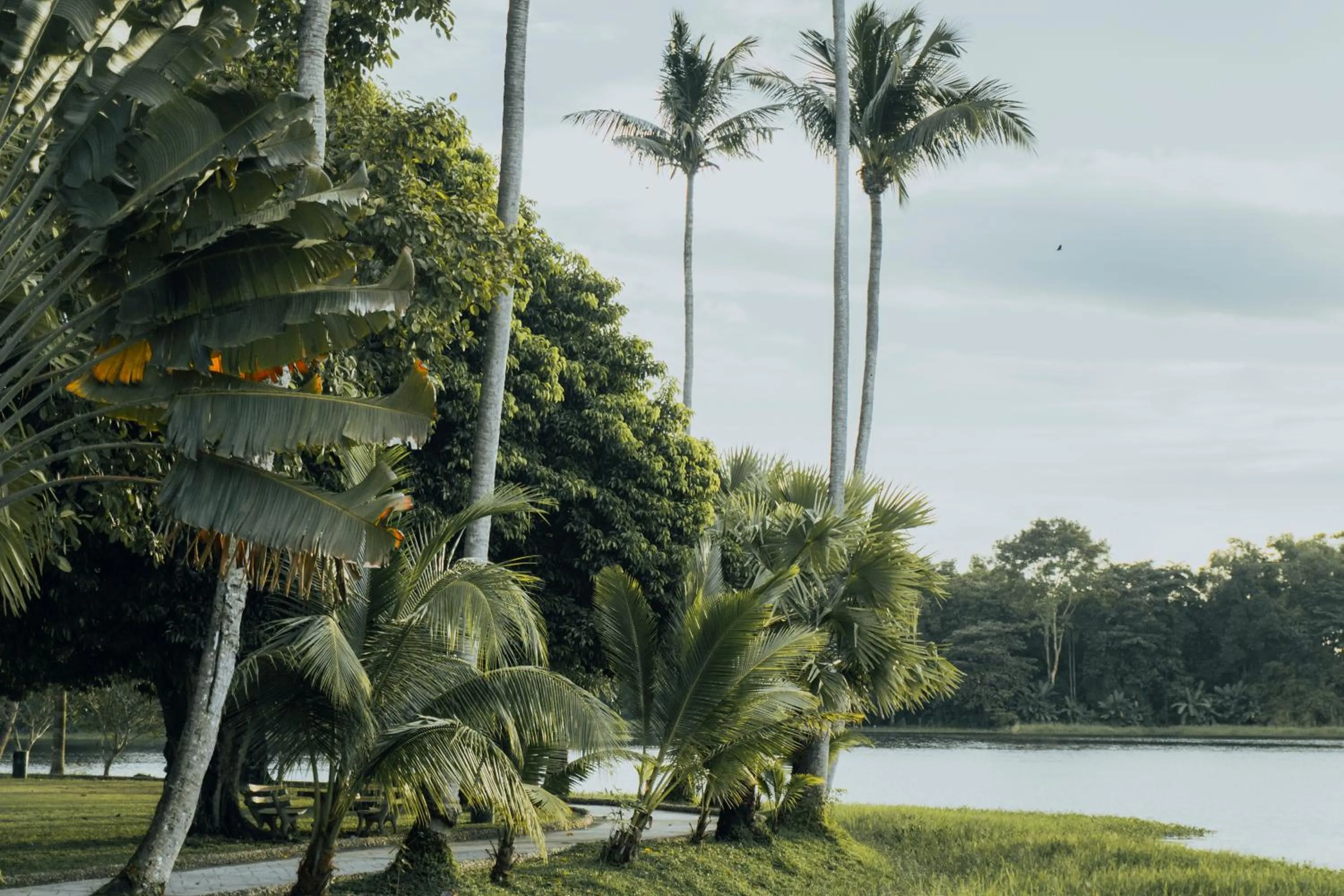 Natural landscape in Inya Lake Hotel Yangon