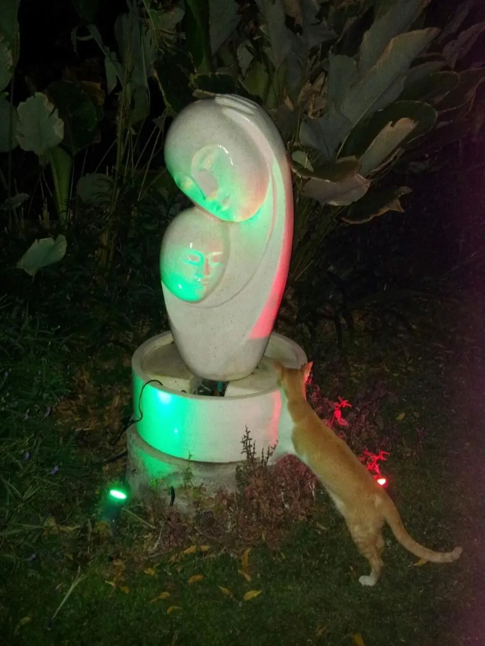 Garden in Toyabali-Resort, Boutique Beach Villas