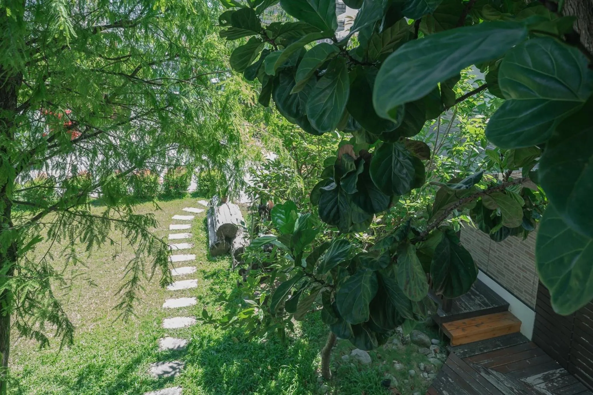 Garden in Cypress House