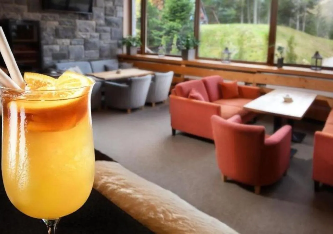 Seating area in Hotel Srdiečko