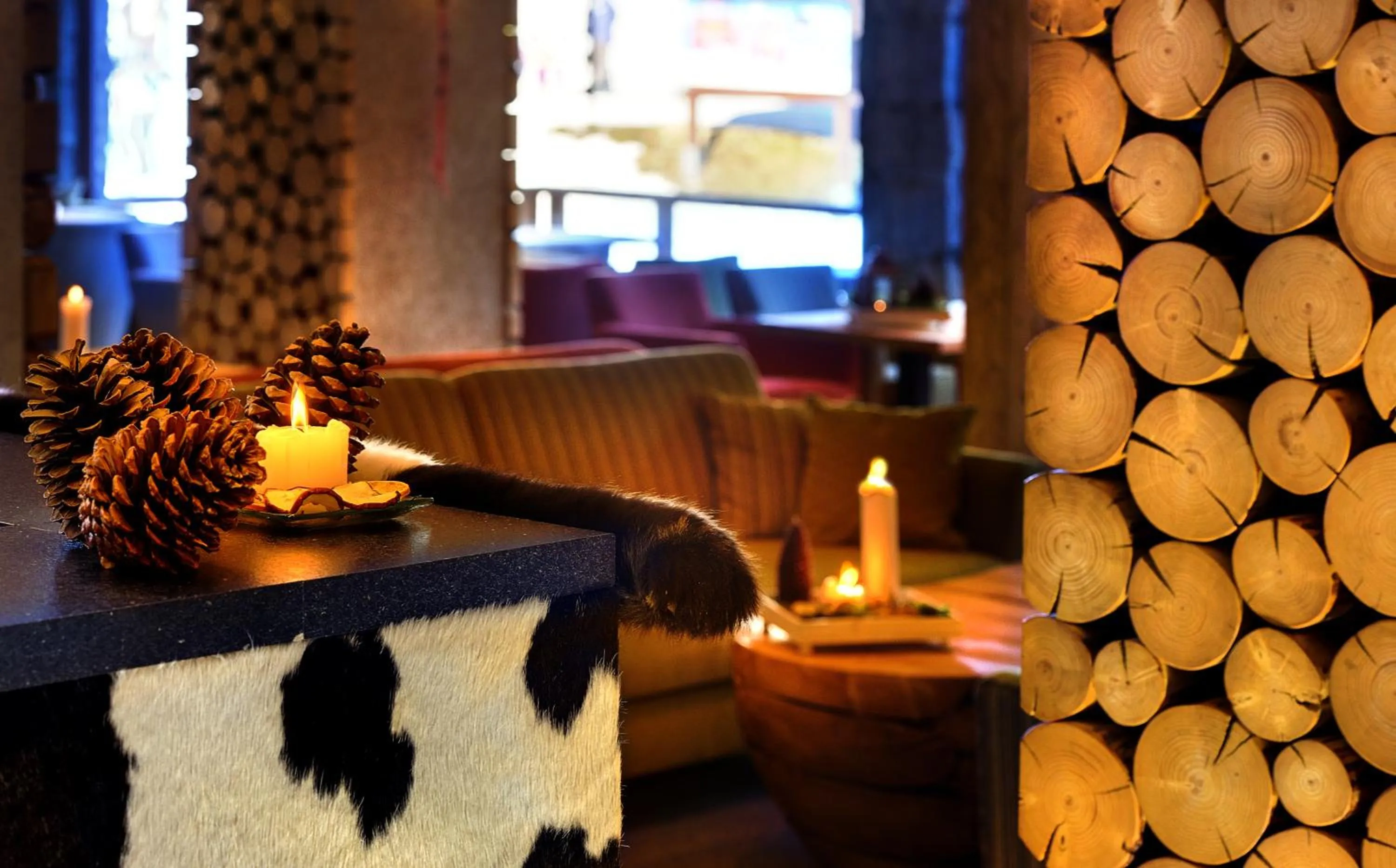 Communal lounge/ TV room in Hotel Srdiečko