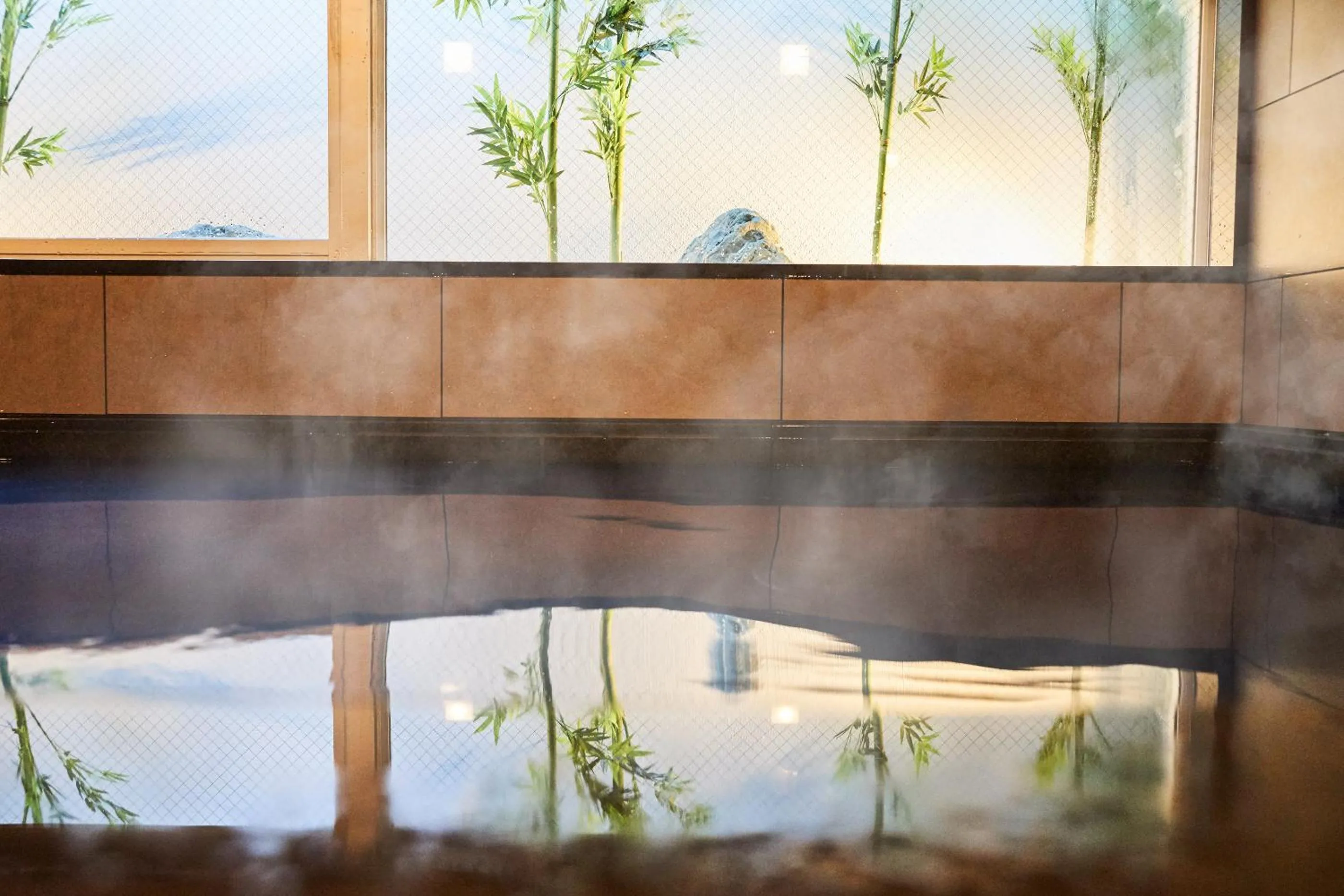 Hot Spring Bath in Super Hotel Mihara Ekimae