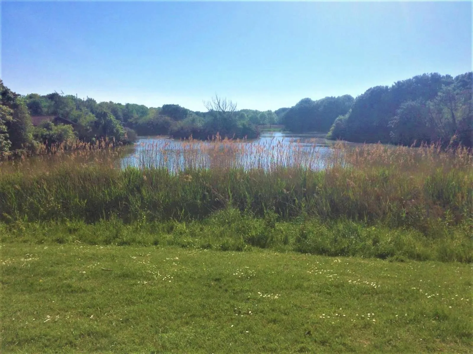 Natural landscape in Westerschelde B&B