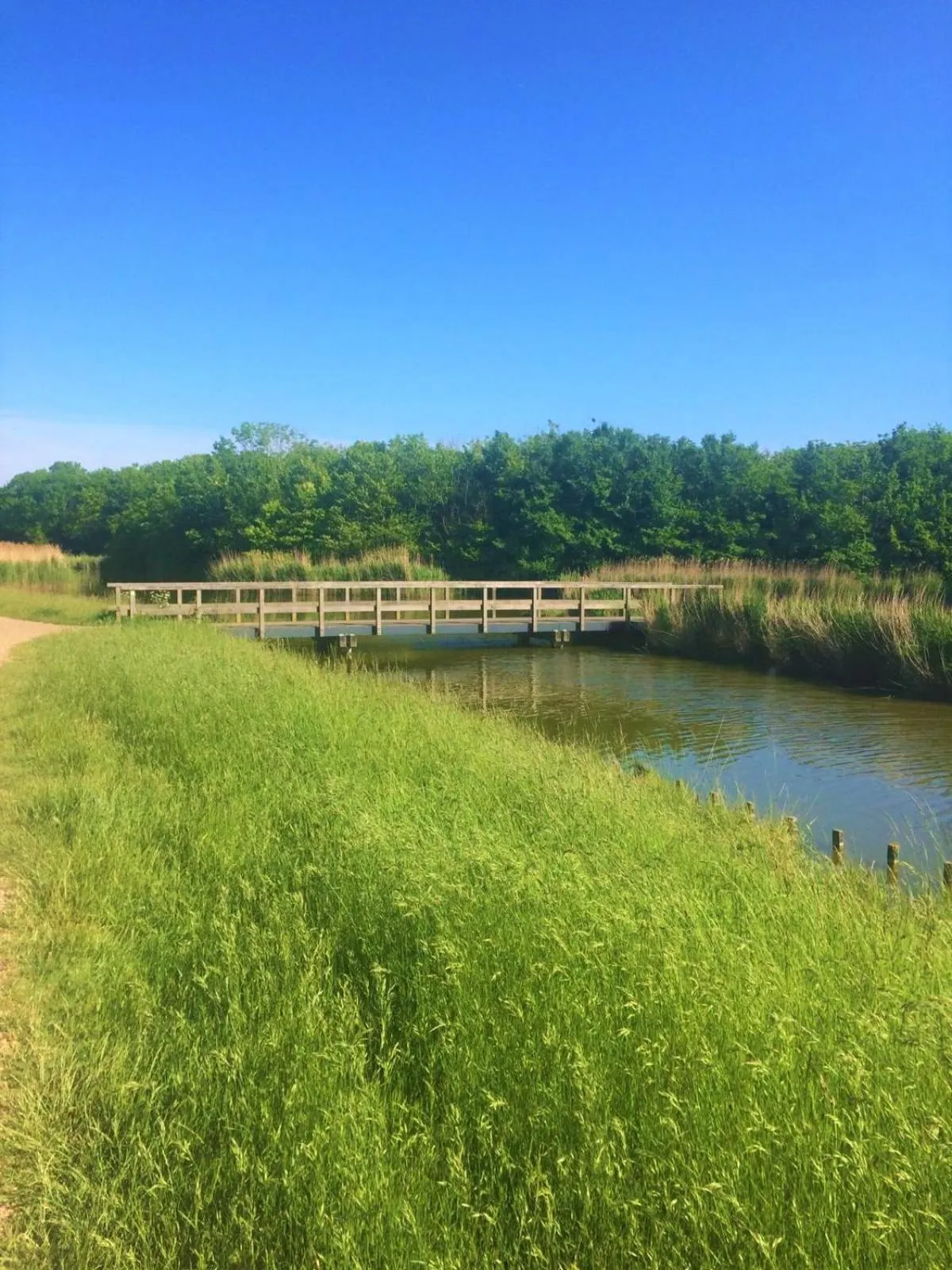 Natural landscape in Westerschelde B&B