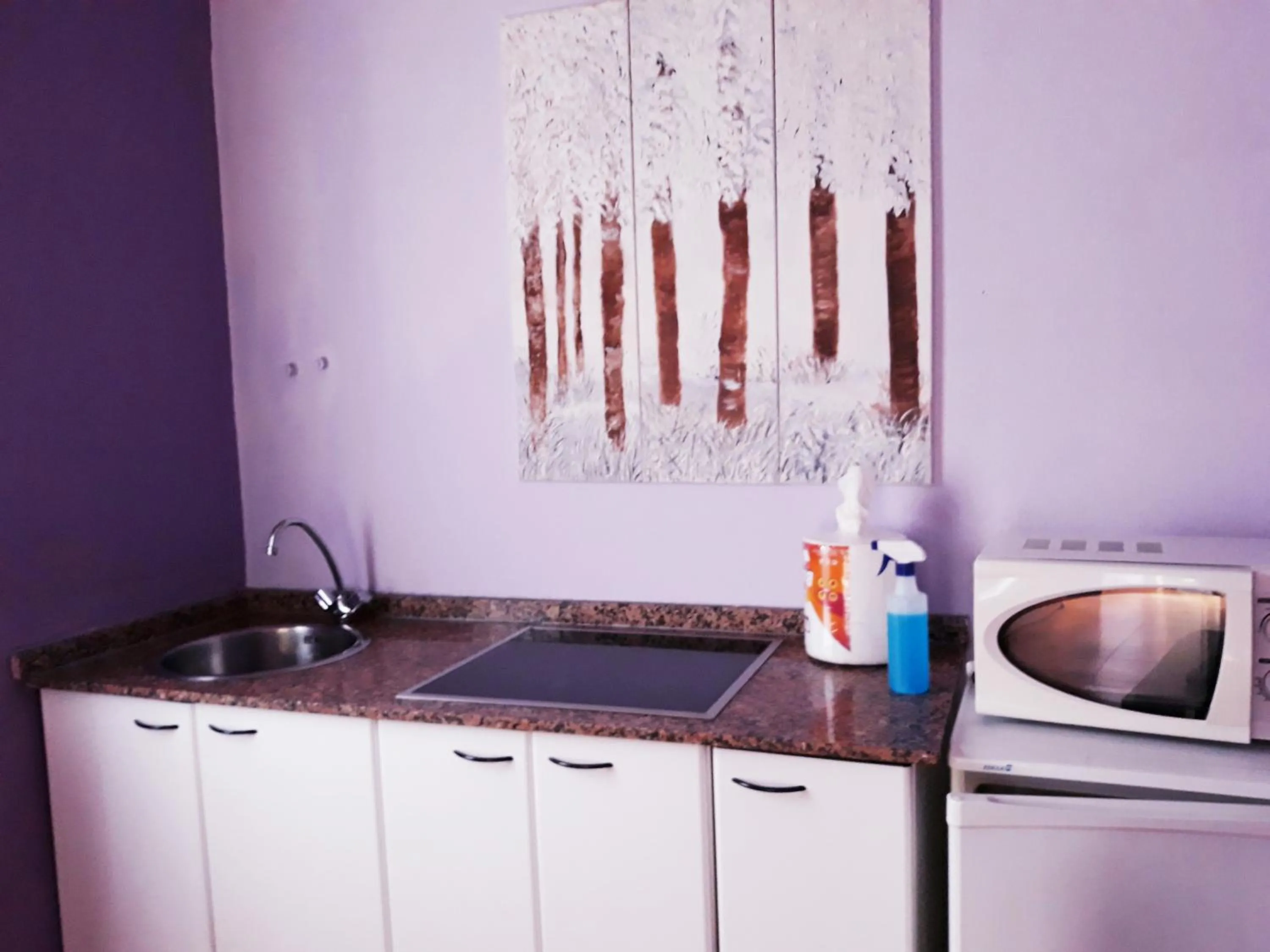 Kitchen or kitchenette in Apartahotel portal de leon