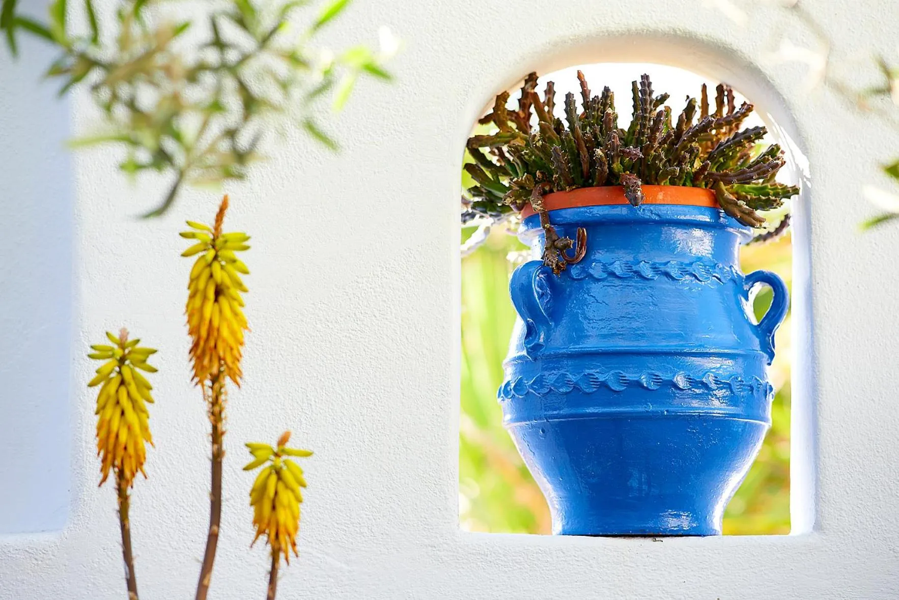 Garden in Elia Studios Pollonia