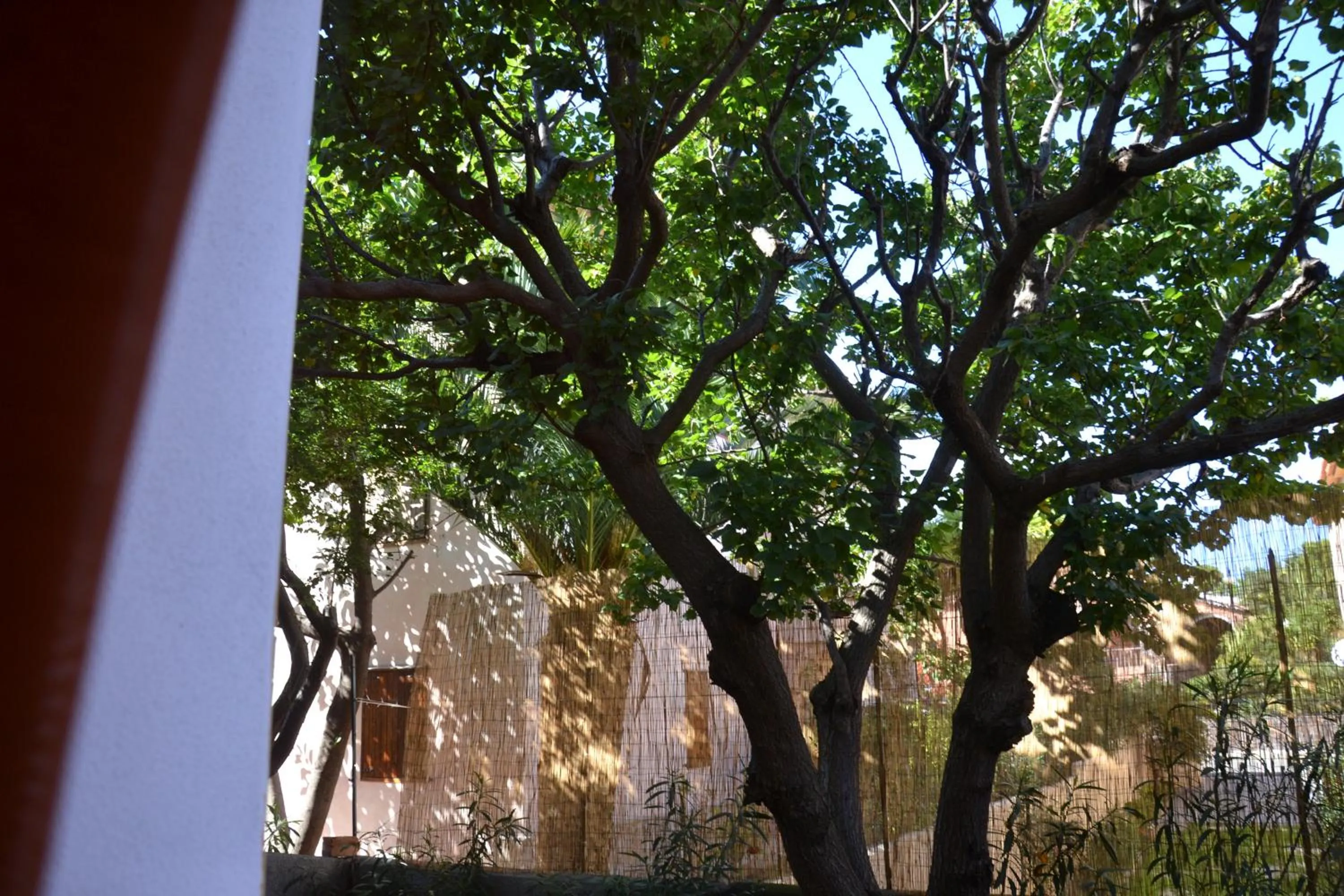 Garden in Residence Ataras