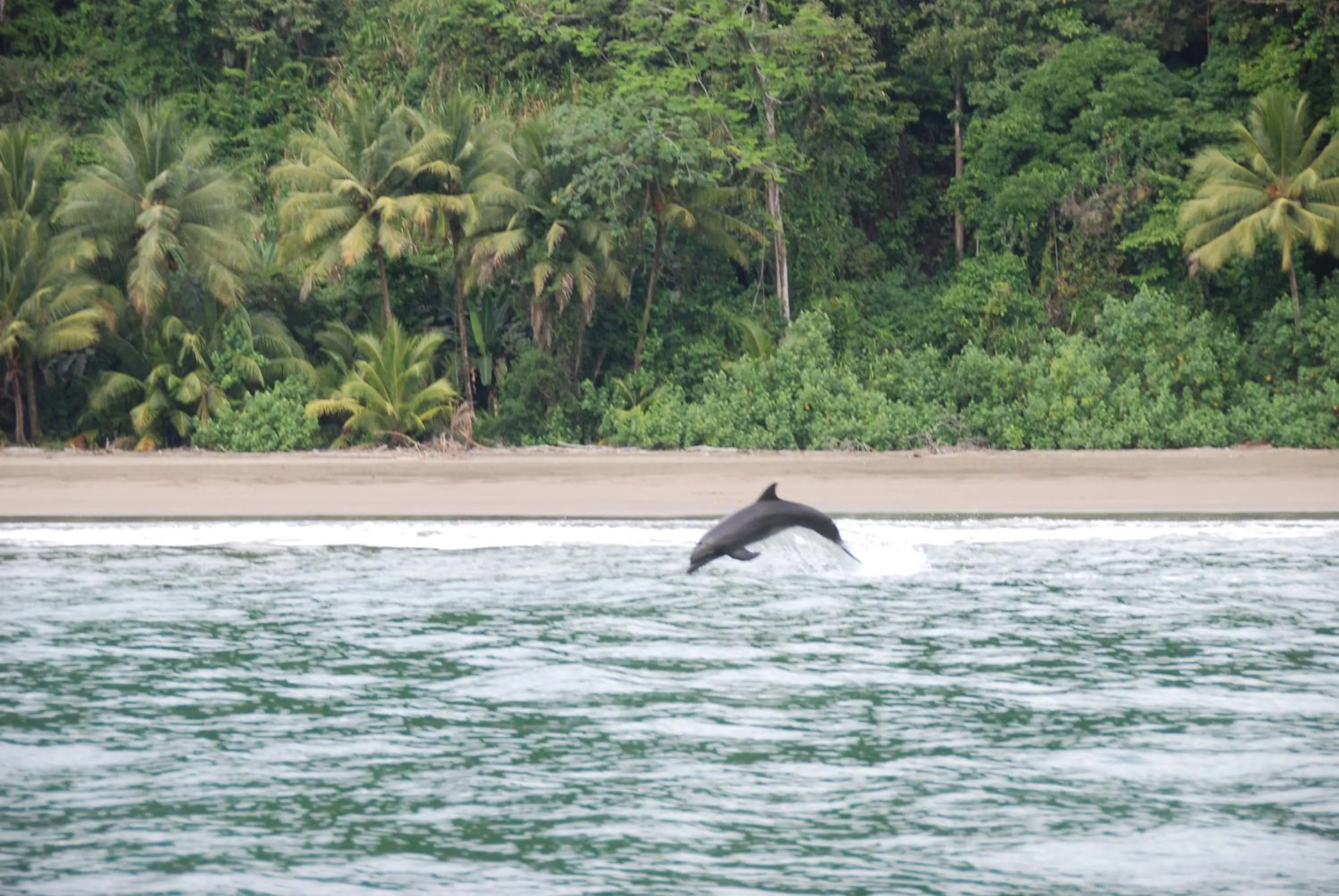 View (from property/room) in Hotel El Mono Feliz