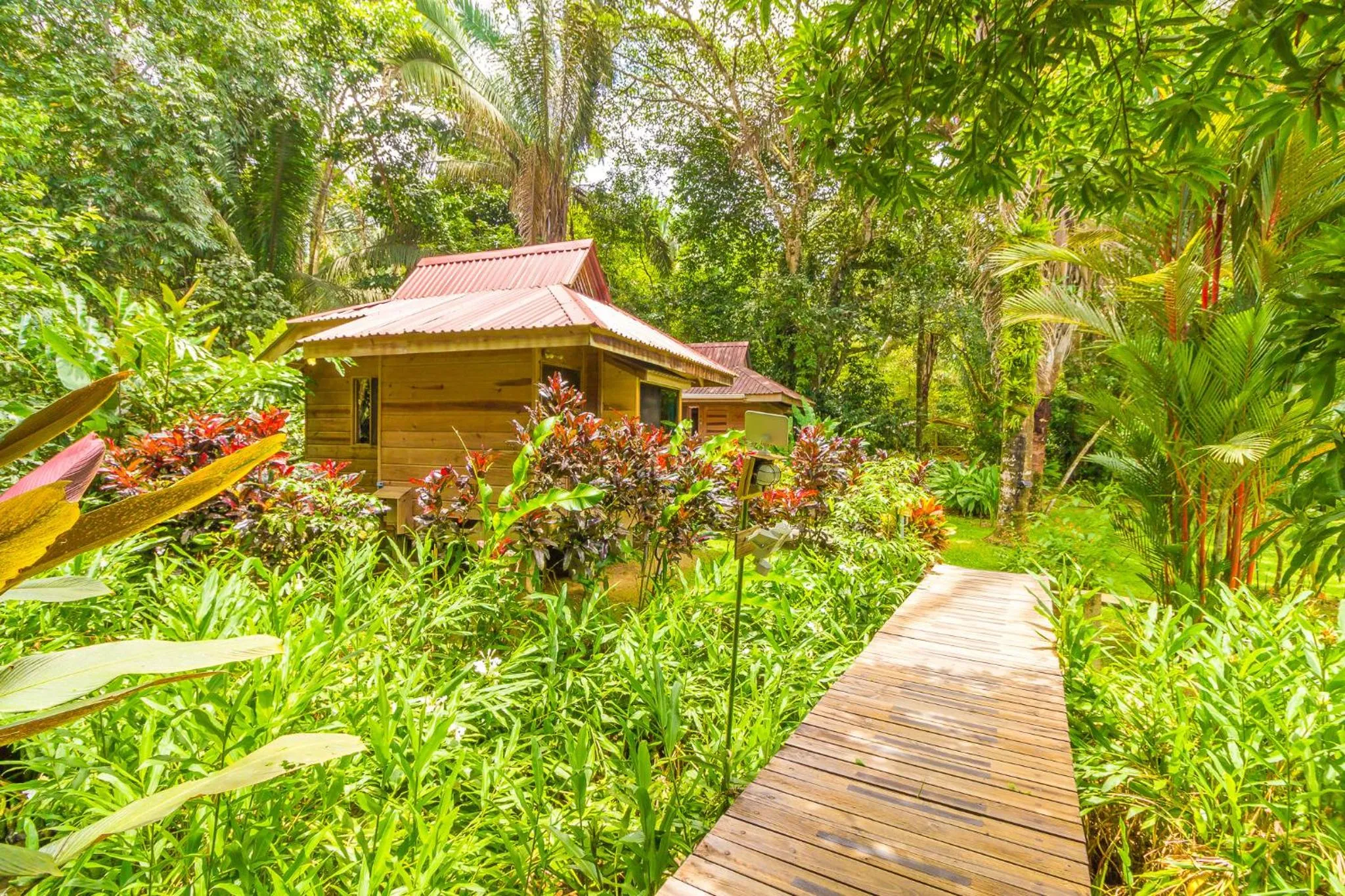 Garden in Hotel El Mono Feliz