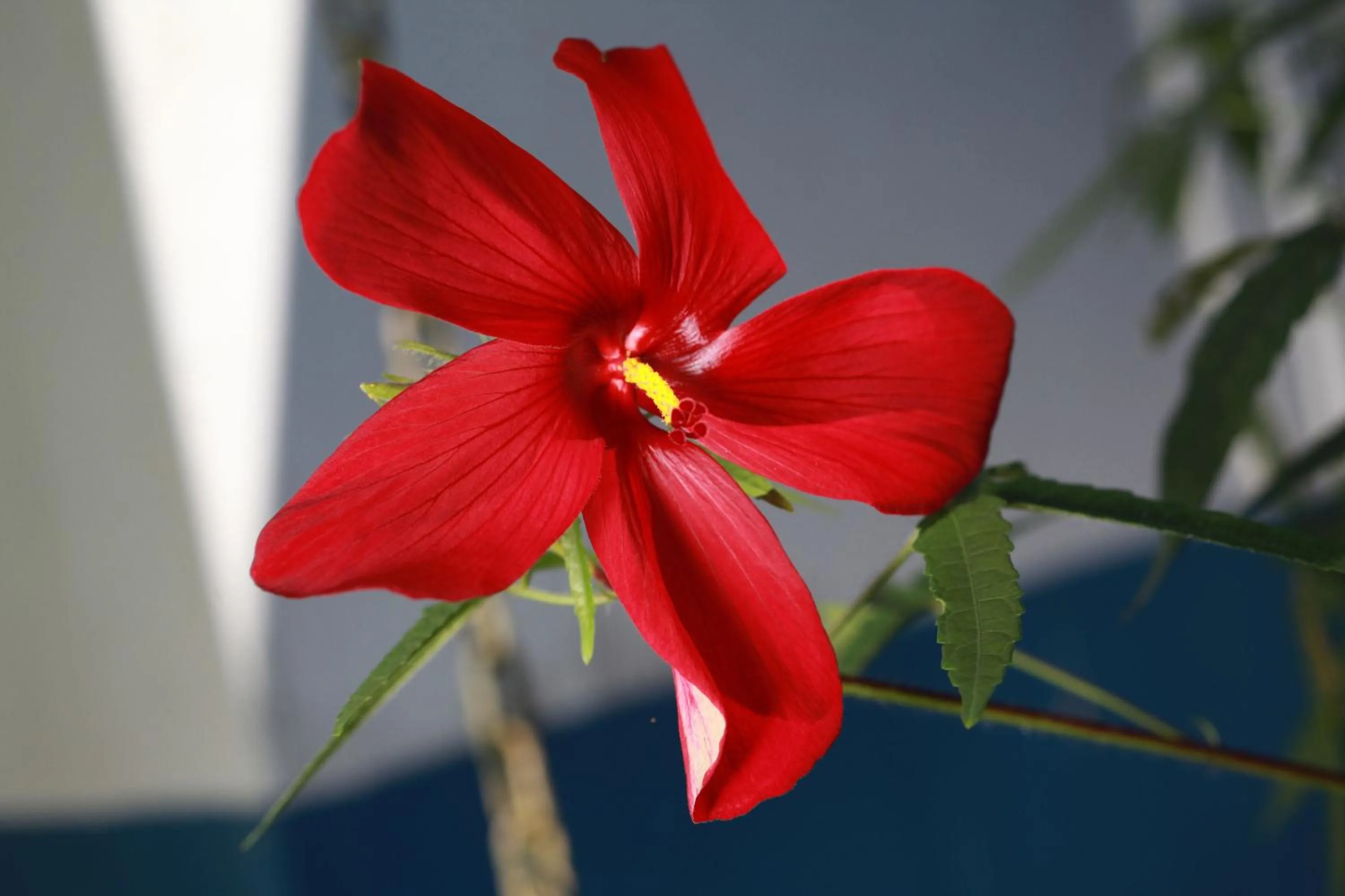 Nearby landmark in Hotel El Mono Feliz