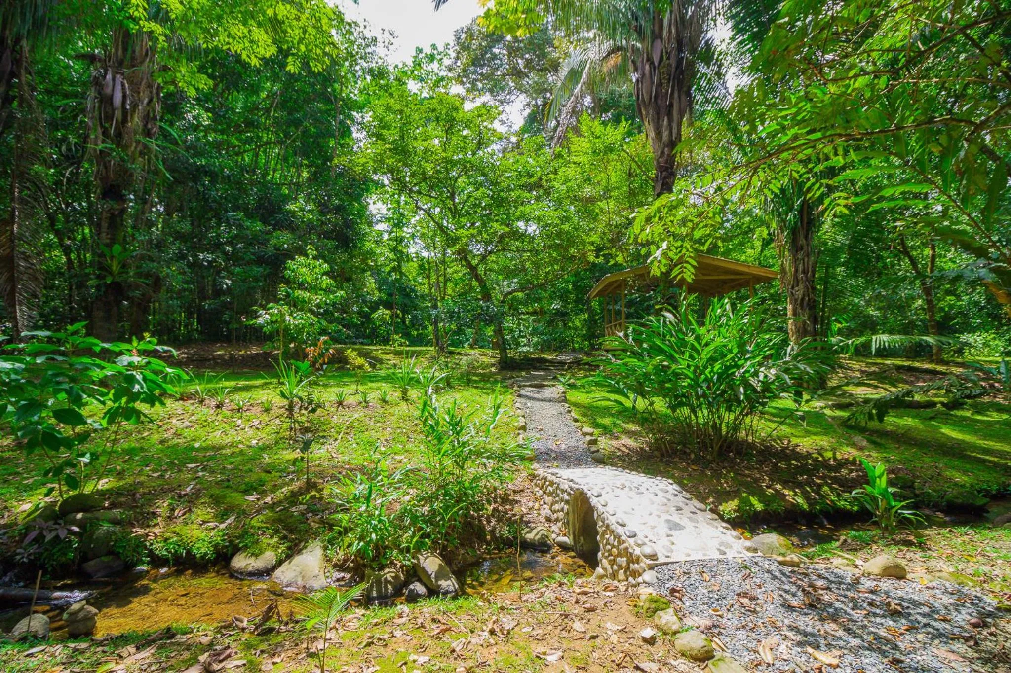 Natural landscape in Hotel El Mono Feliz