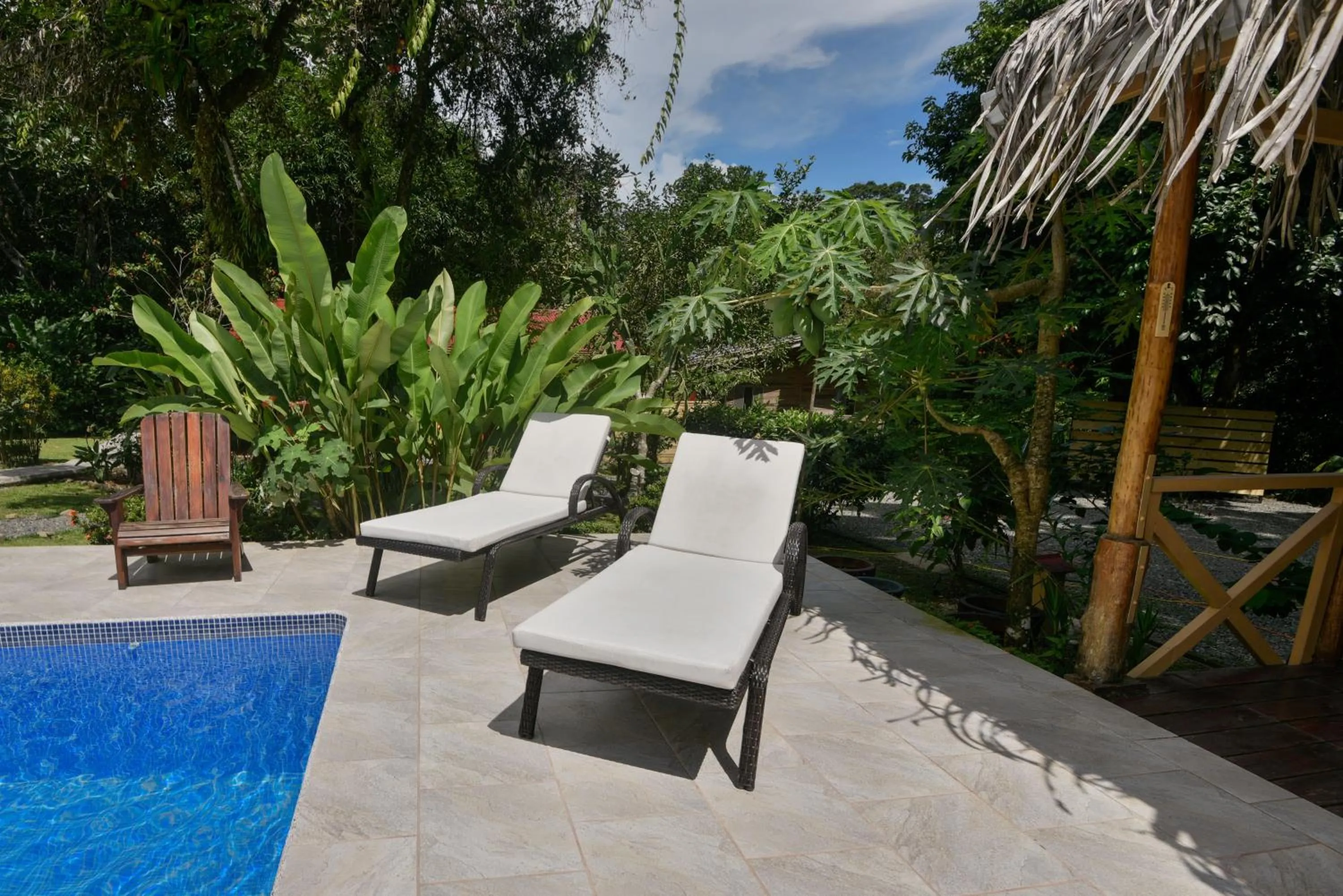 Swimming pool in Hotel El Mono Feliz