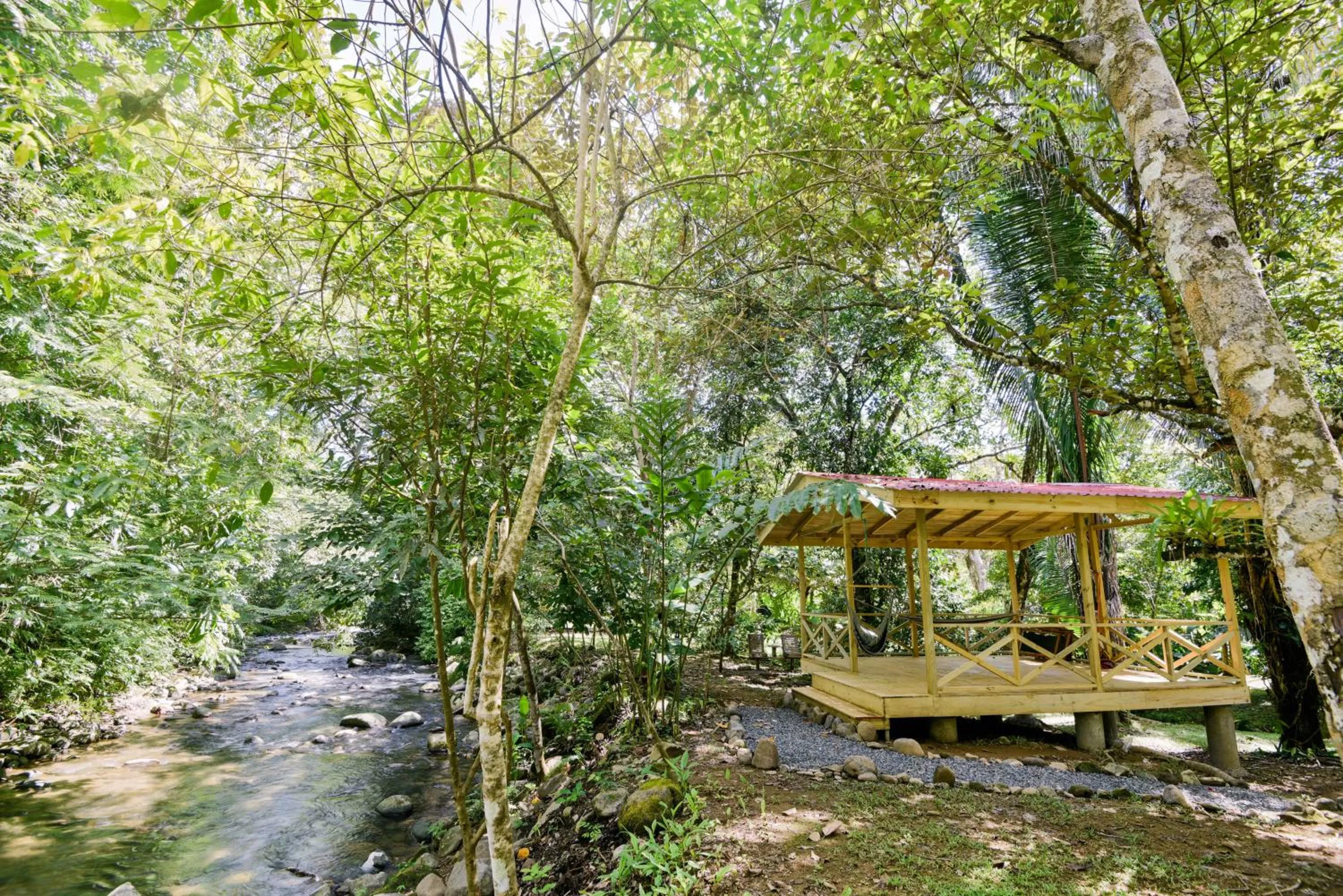 Patio in Hotel El Mono Feliz
