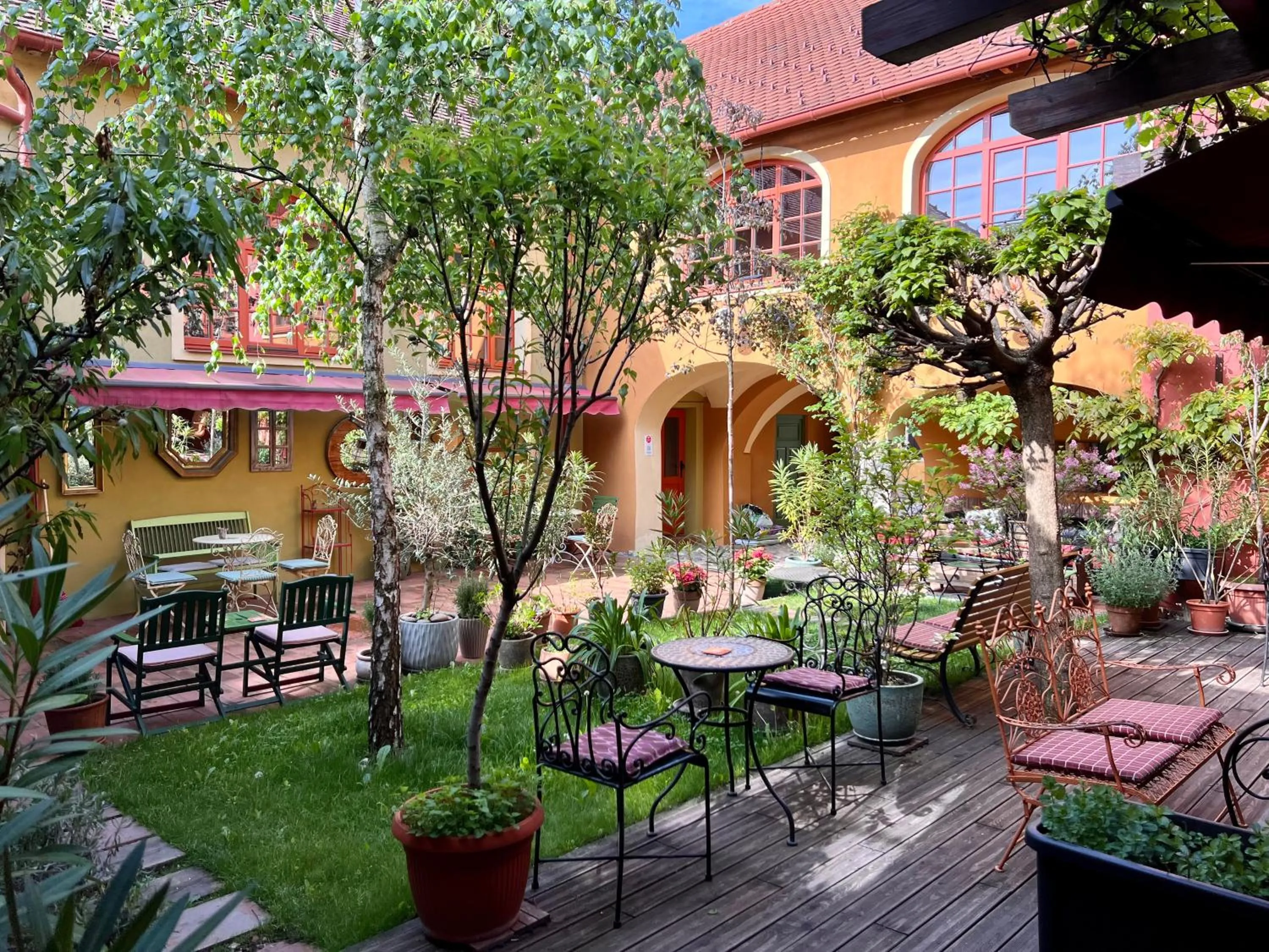 Garden in MuziKafe - Home of Culture