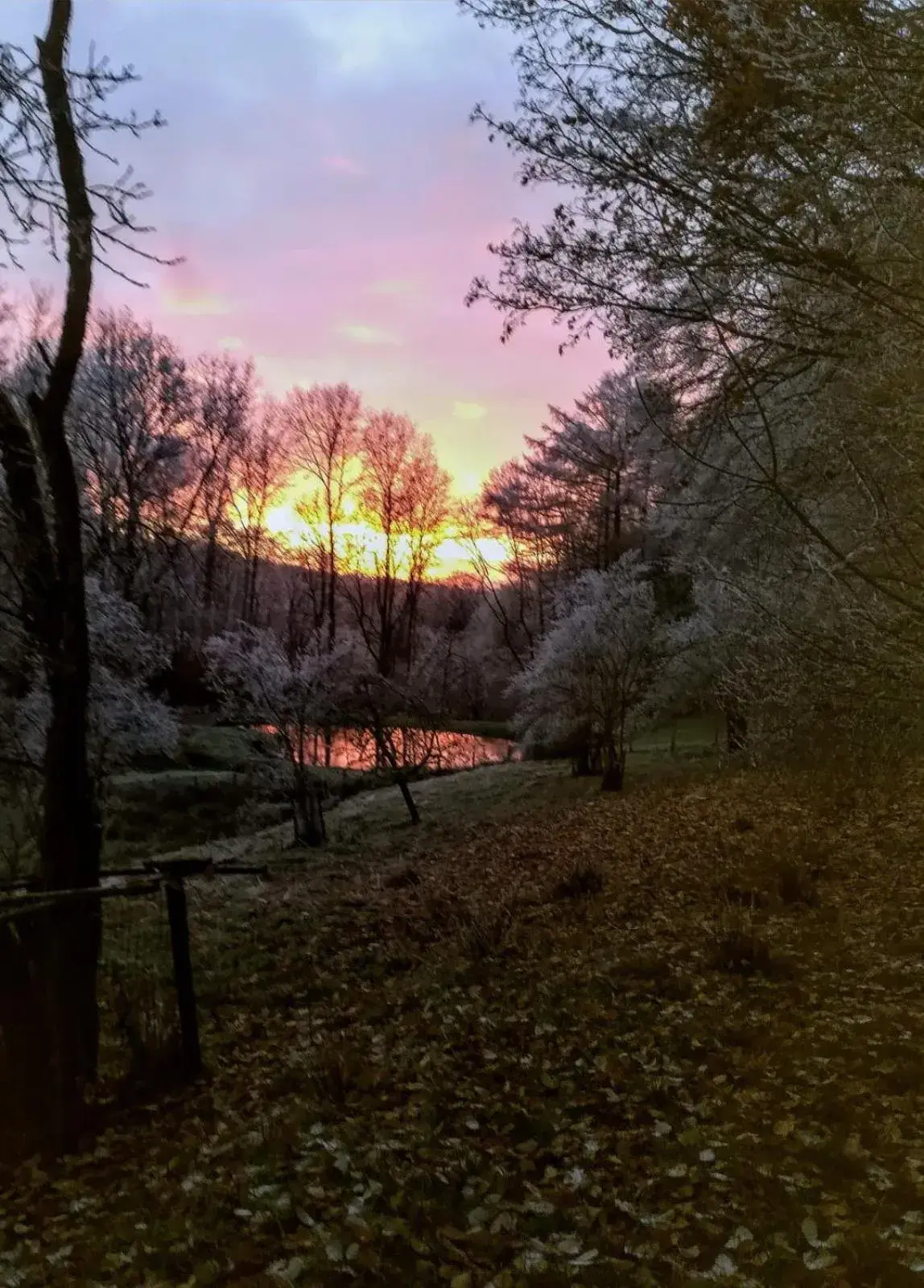 Double Room with Bath in B&B Les Oiseaux de Passage Double Room with Bath in B&B Les Oiseaux de Passage