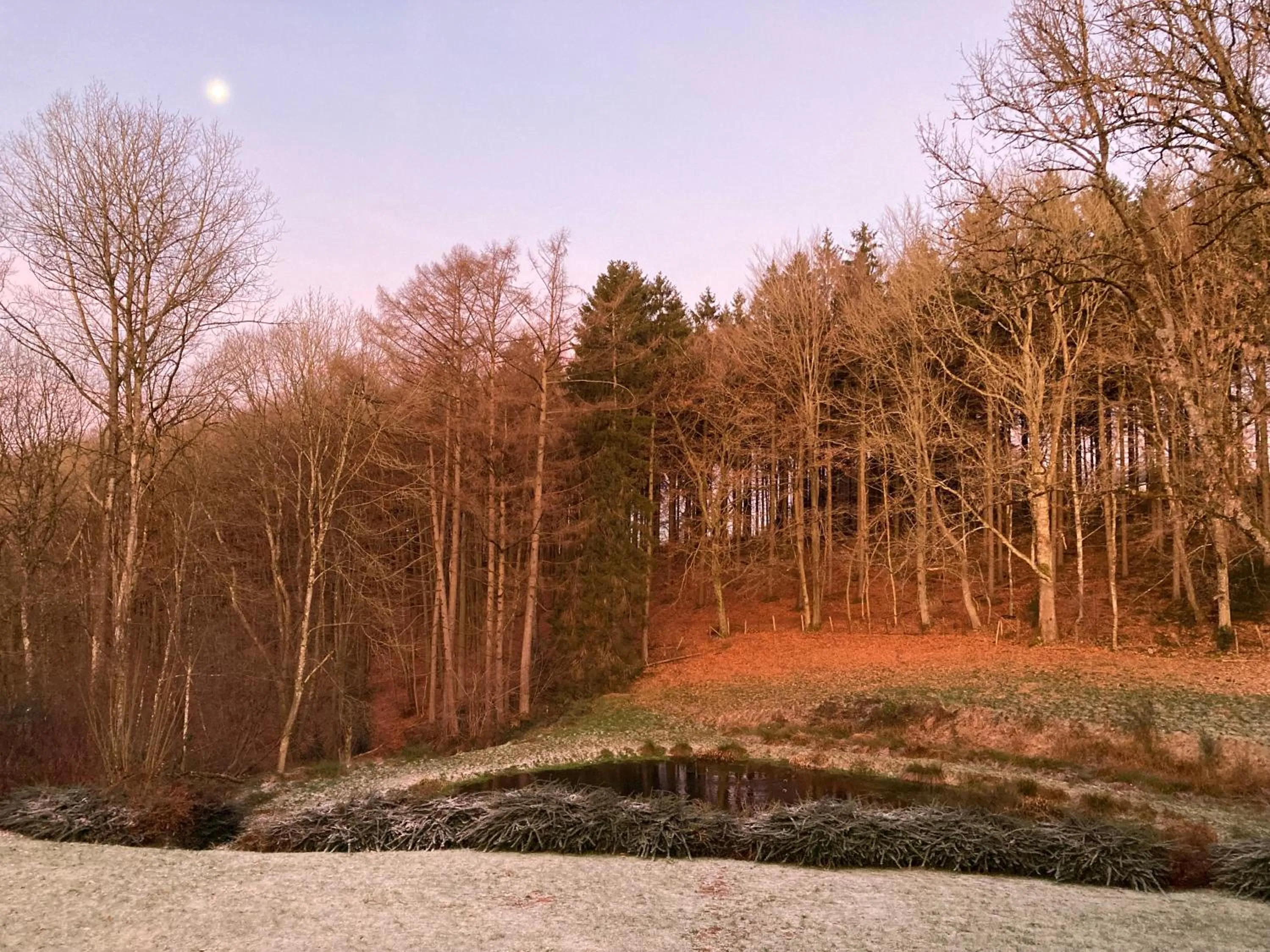 B&B Les Oiseaux de Passage