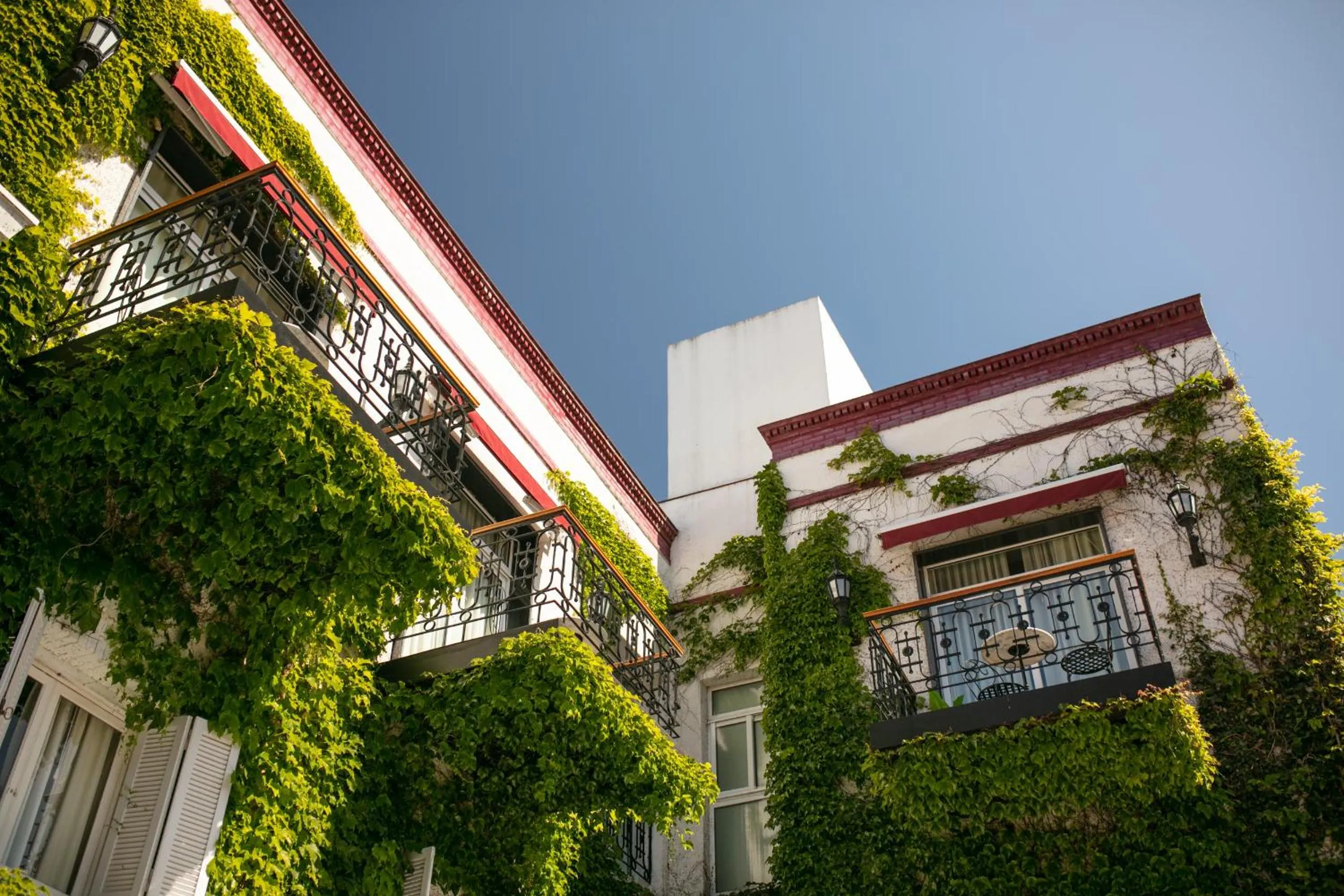 Garden in Altos de Guemes Hotel