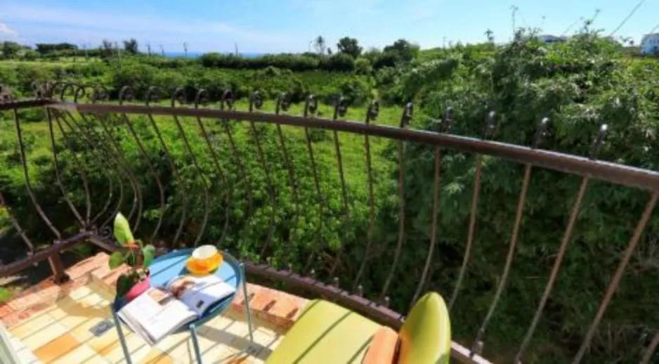 Balcony/Terrace in Full Moon Resort