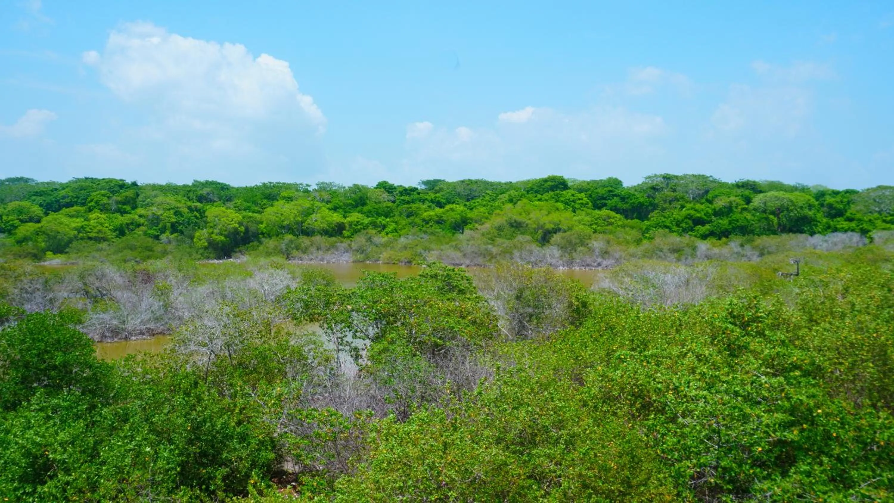 Natural landscape in Hotel Calamari Baru