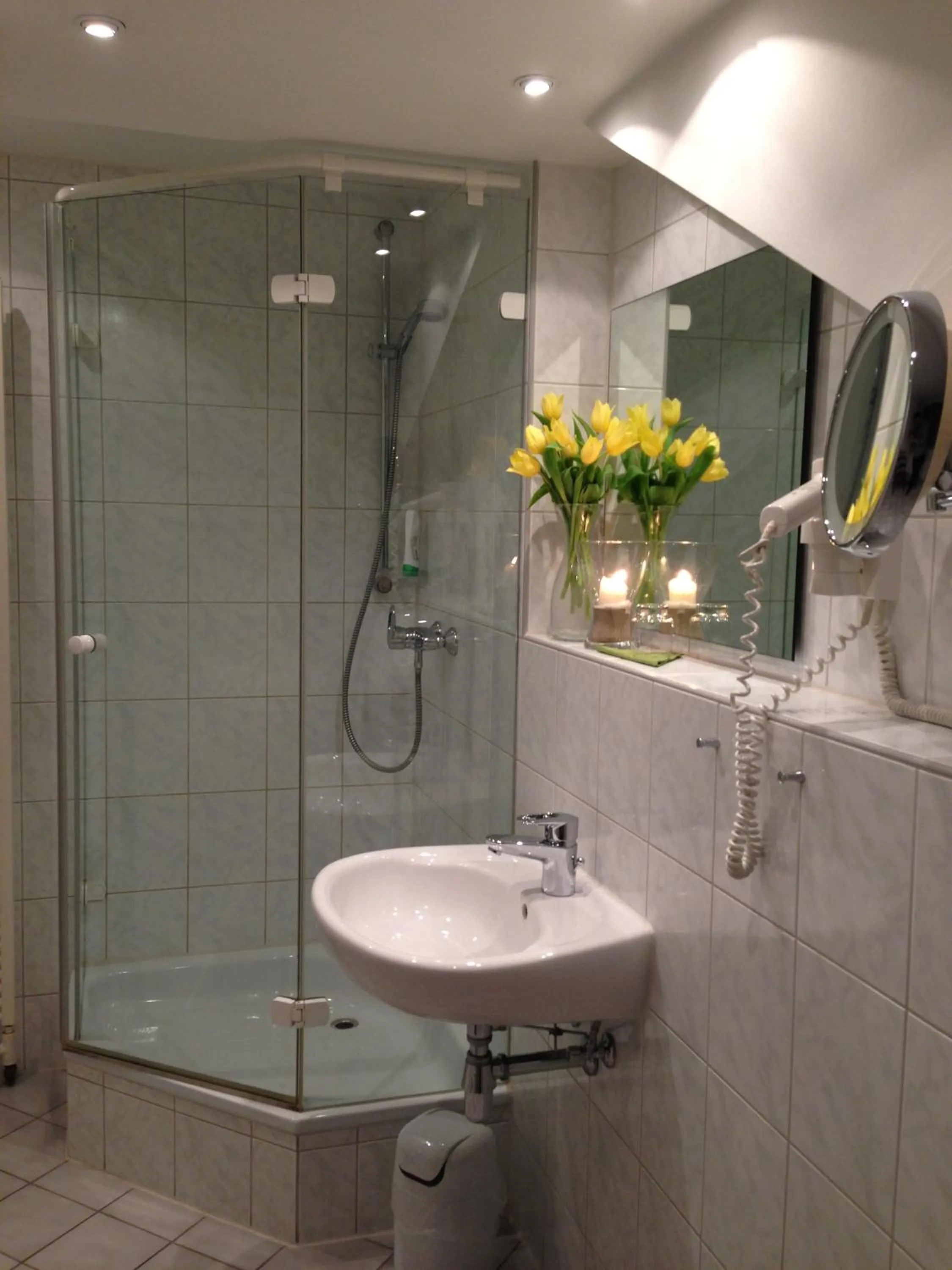 Shower in Landhaus Lockwitzgrund