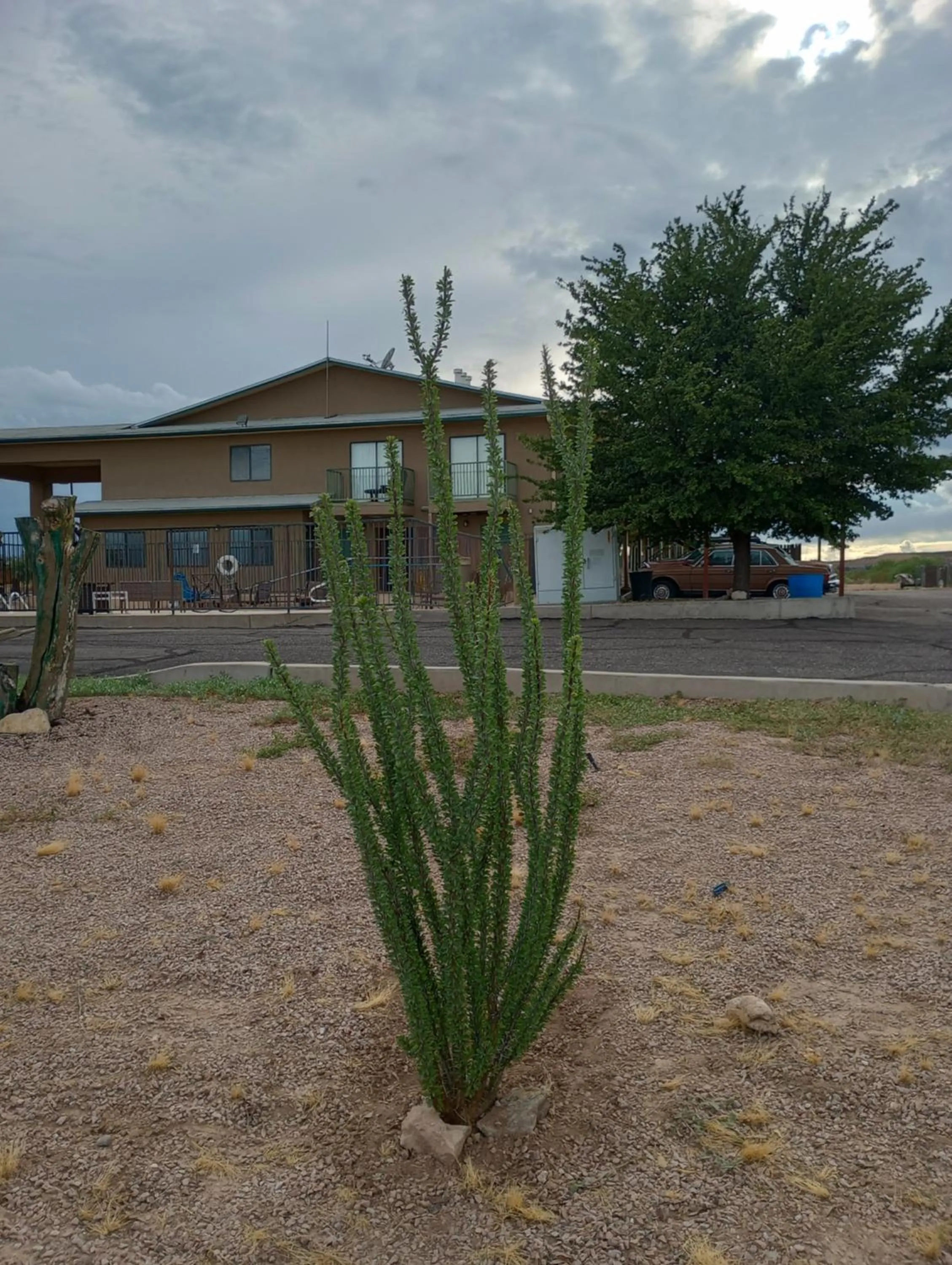 View (from property/room) in Super 8 by Wyndham Benson