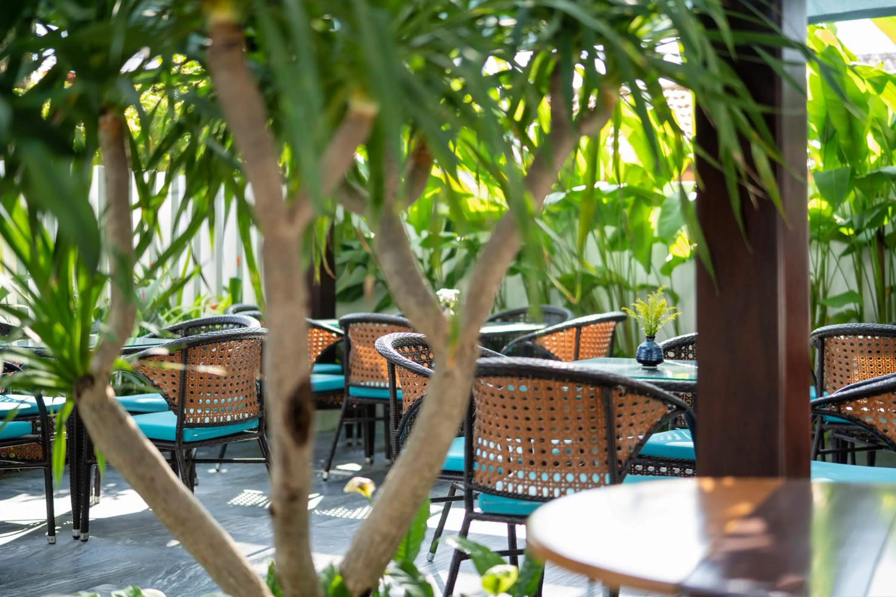 Restaurant/places to eat in The Nam An Villa Hoi An