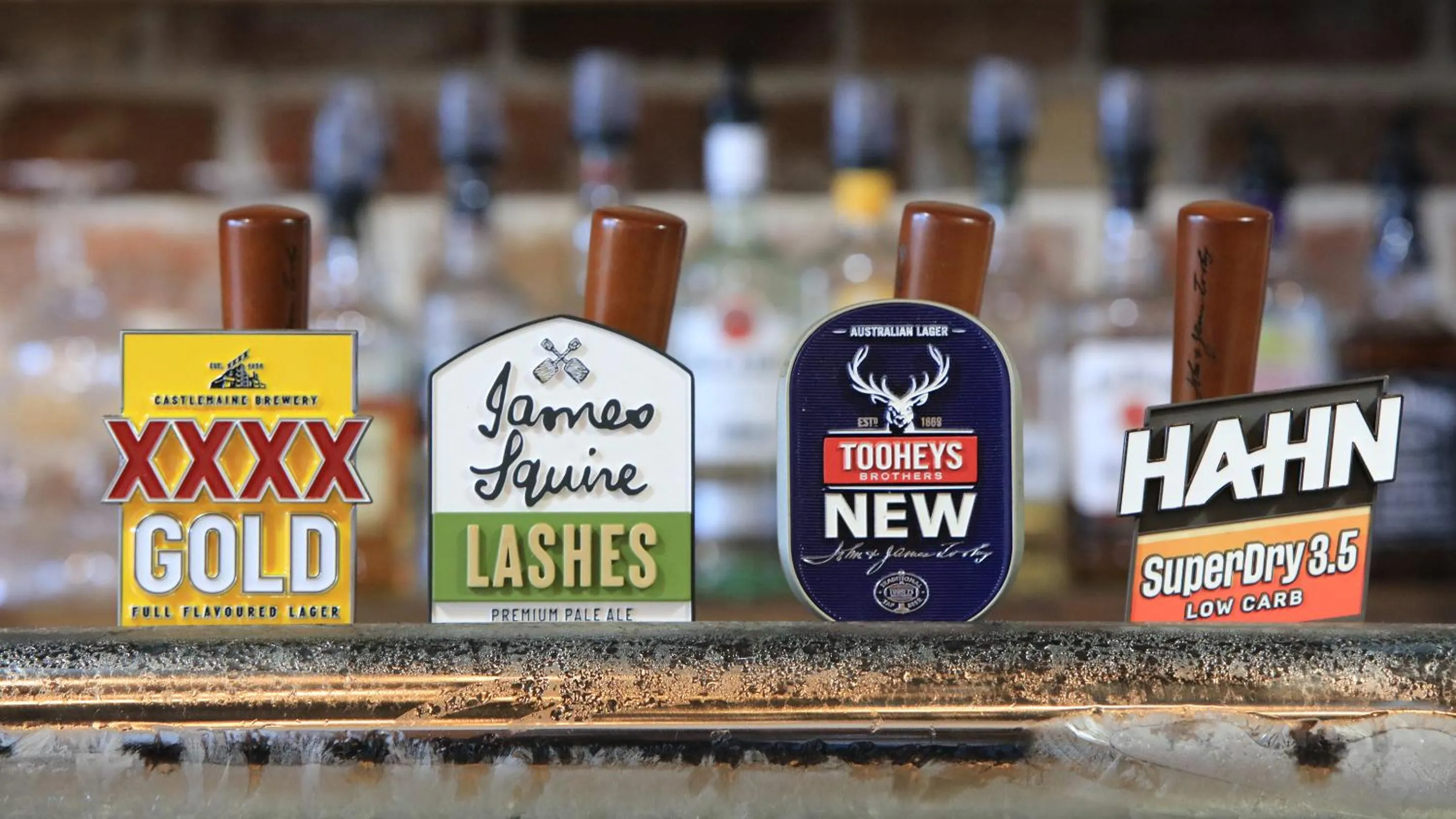 Lounge or bar in Dubbo Rhino Lodge