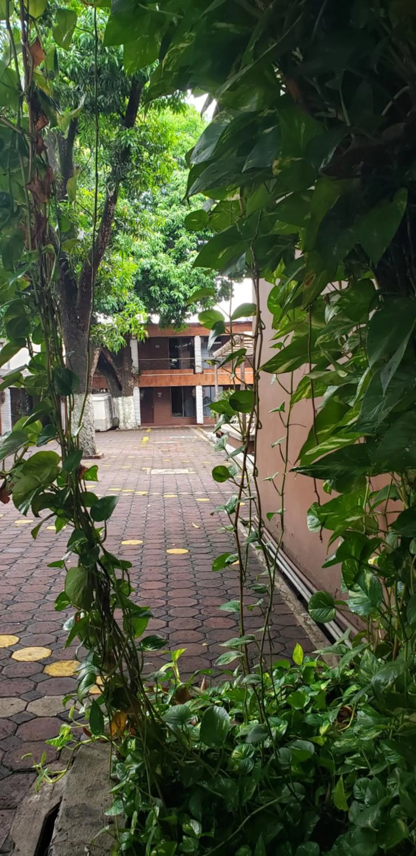 View (from property/room) in Hotel El Rancho