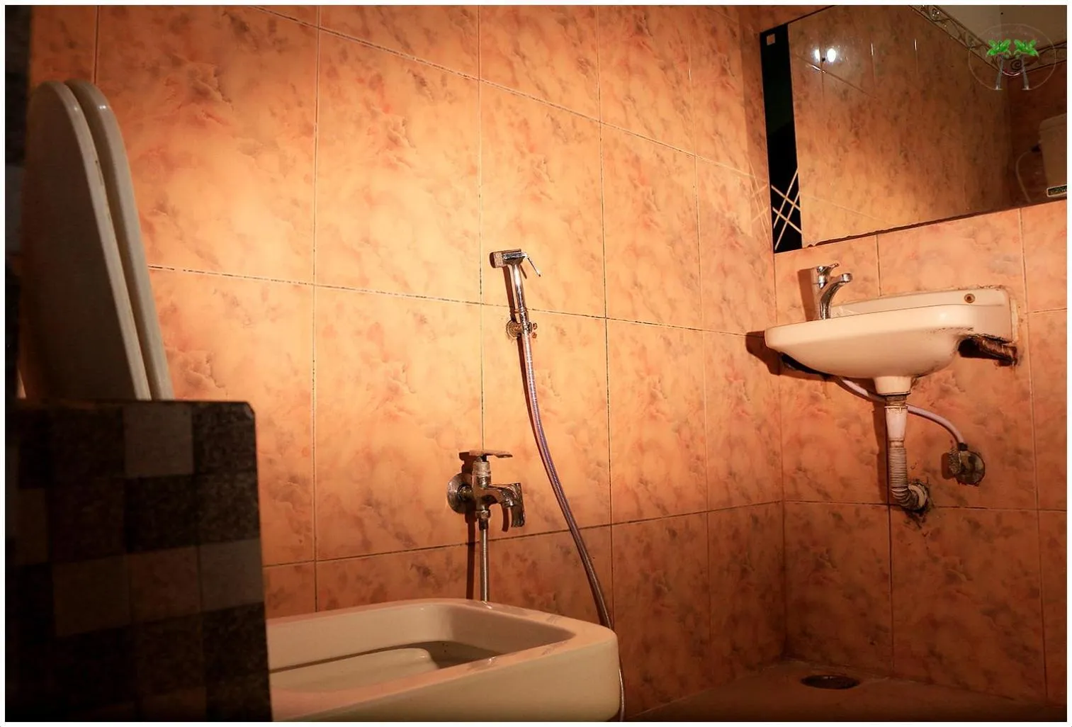 Toilet in Peace Residency